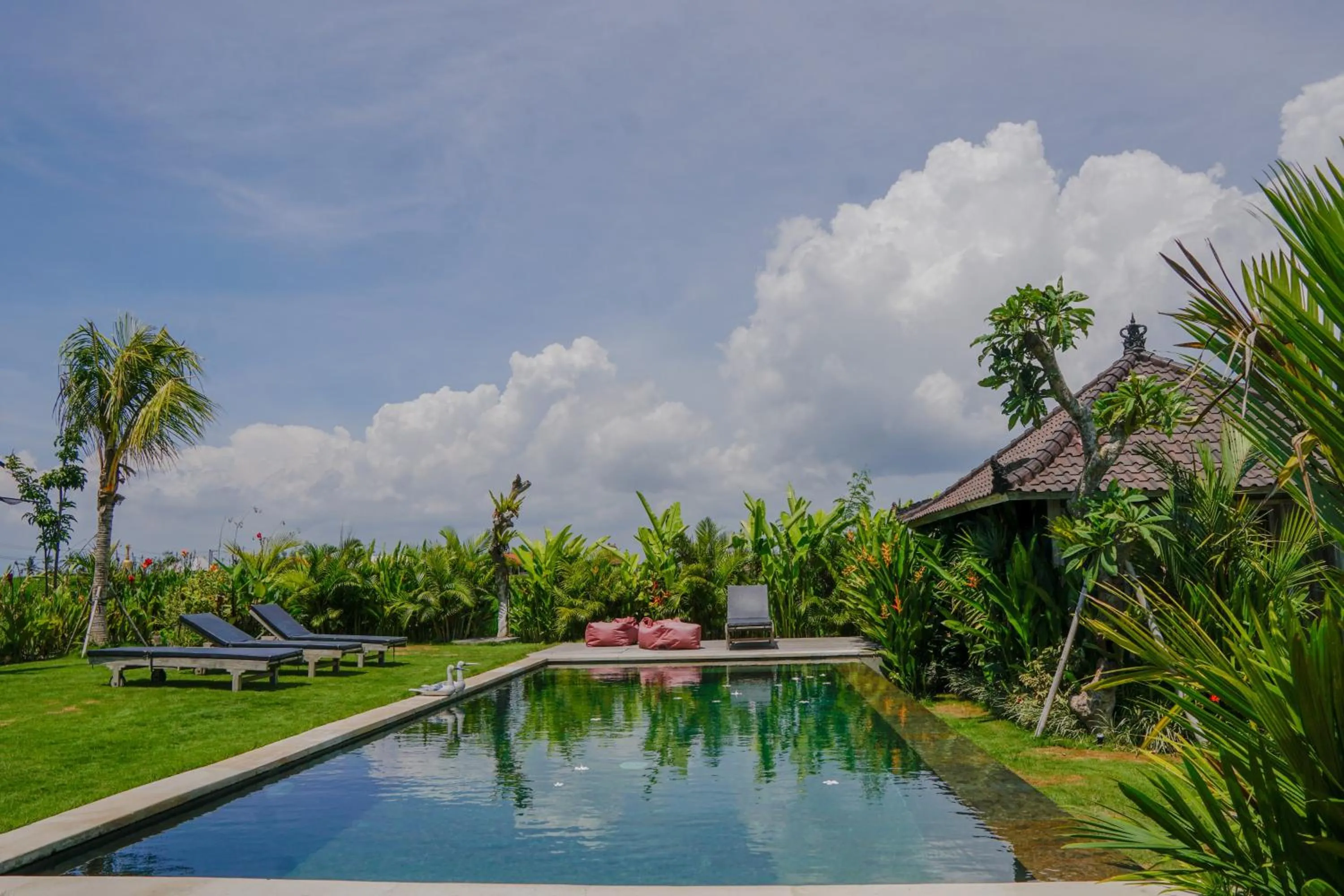Other in Villa Alisha Pererenan Canggu