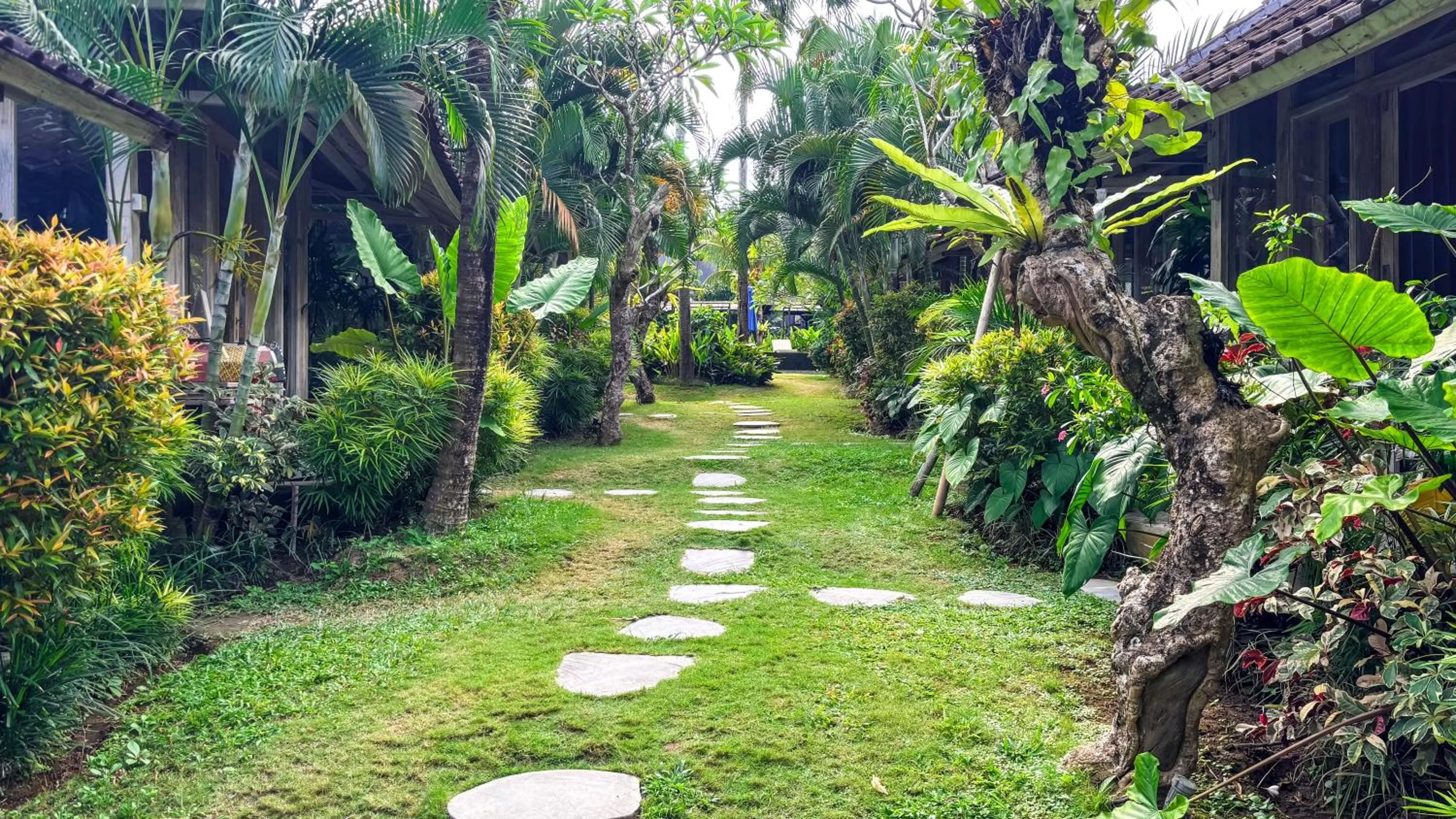 Natural landscape in Villa Alisha Pererenan Canggu