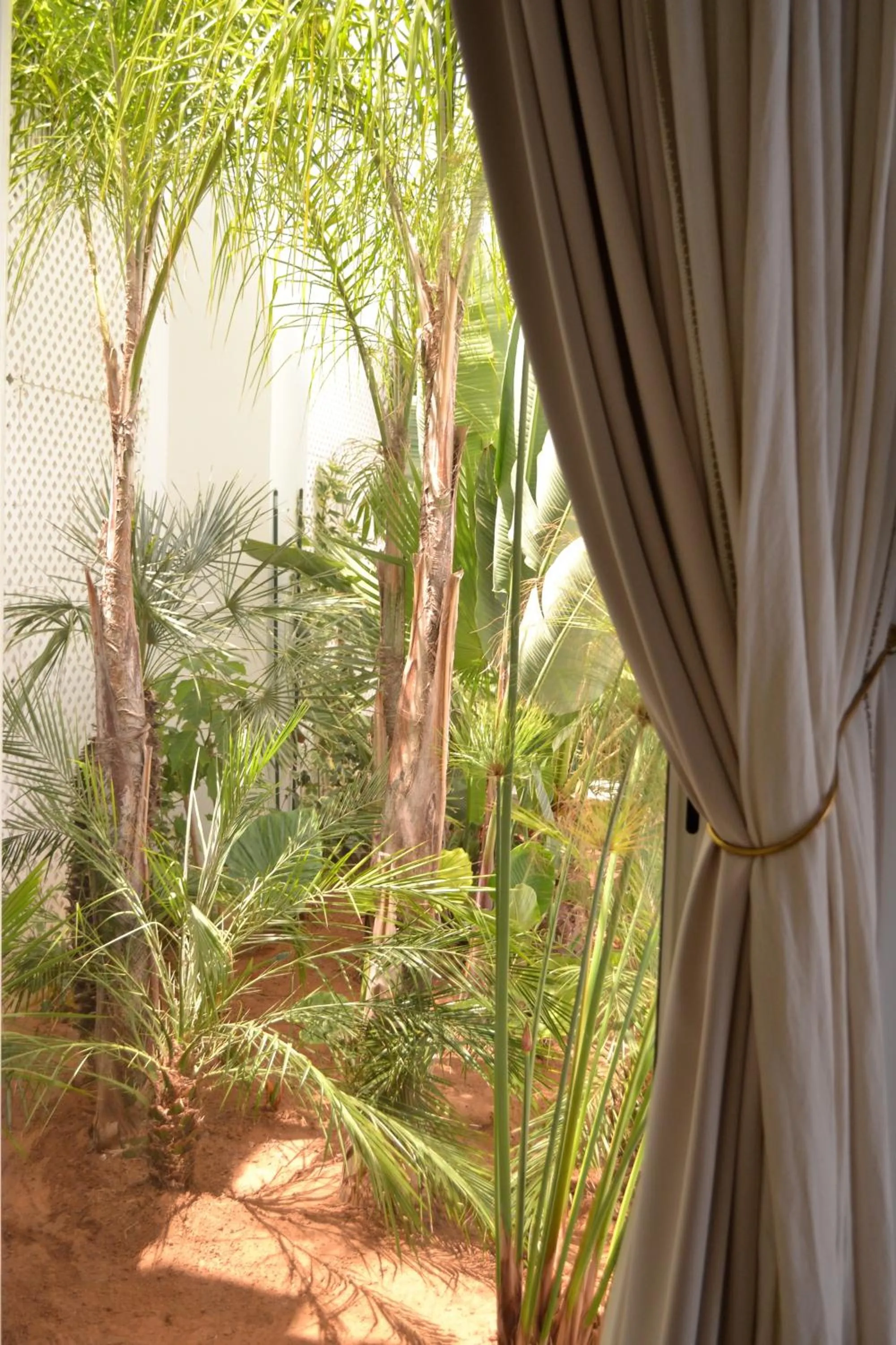 Garden in Riad Zyo