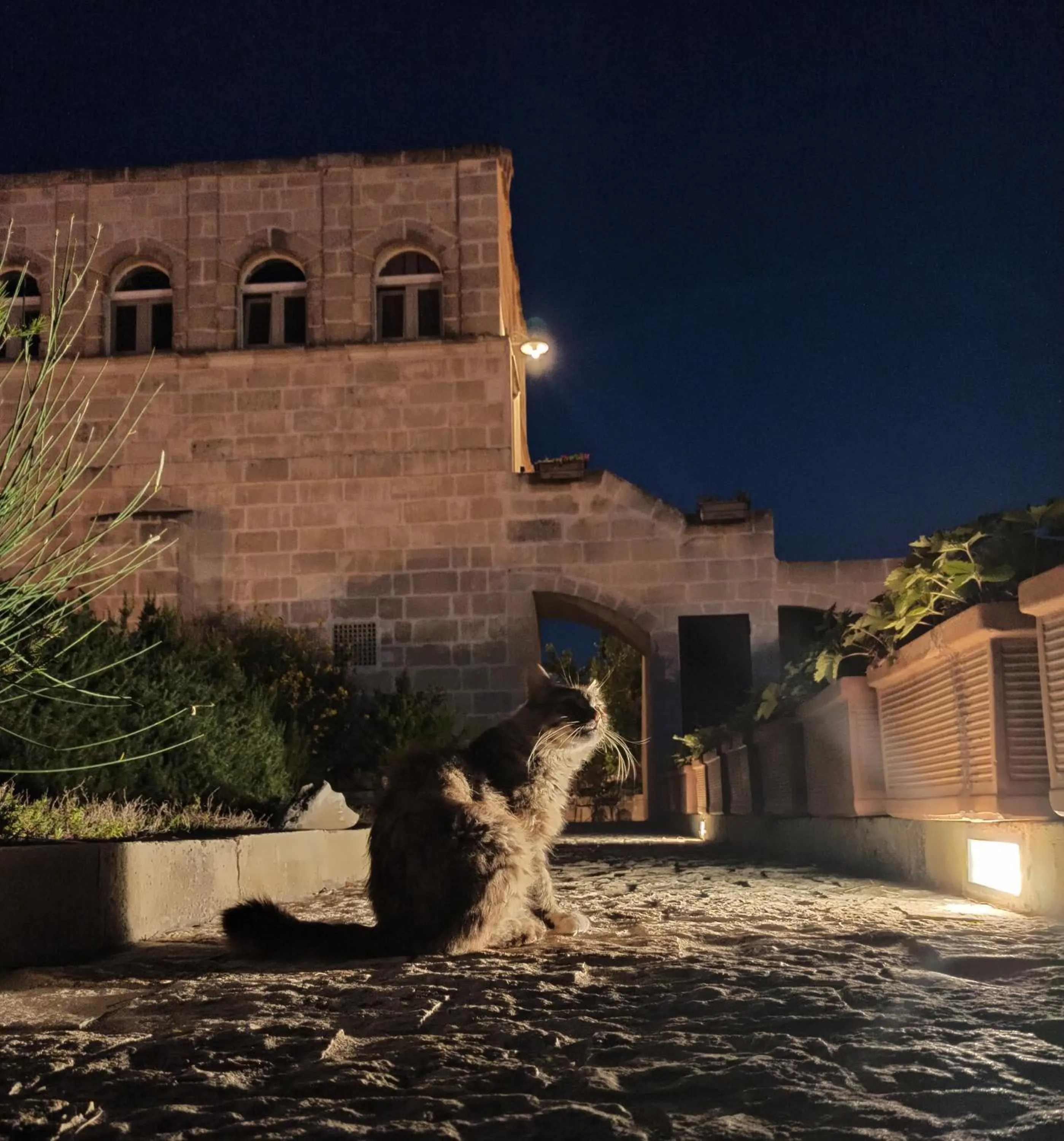 Property building in Torretta ai Sassi
