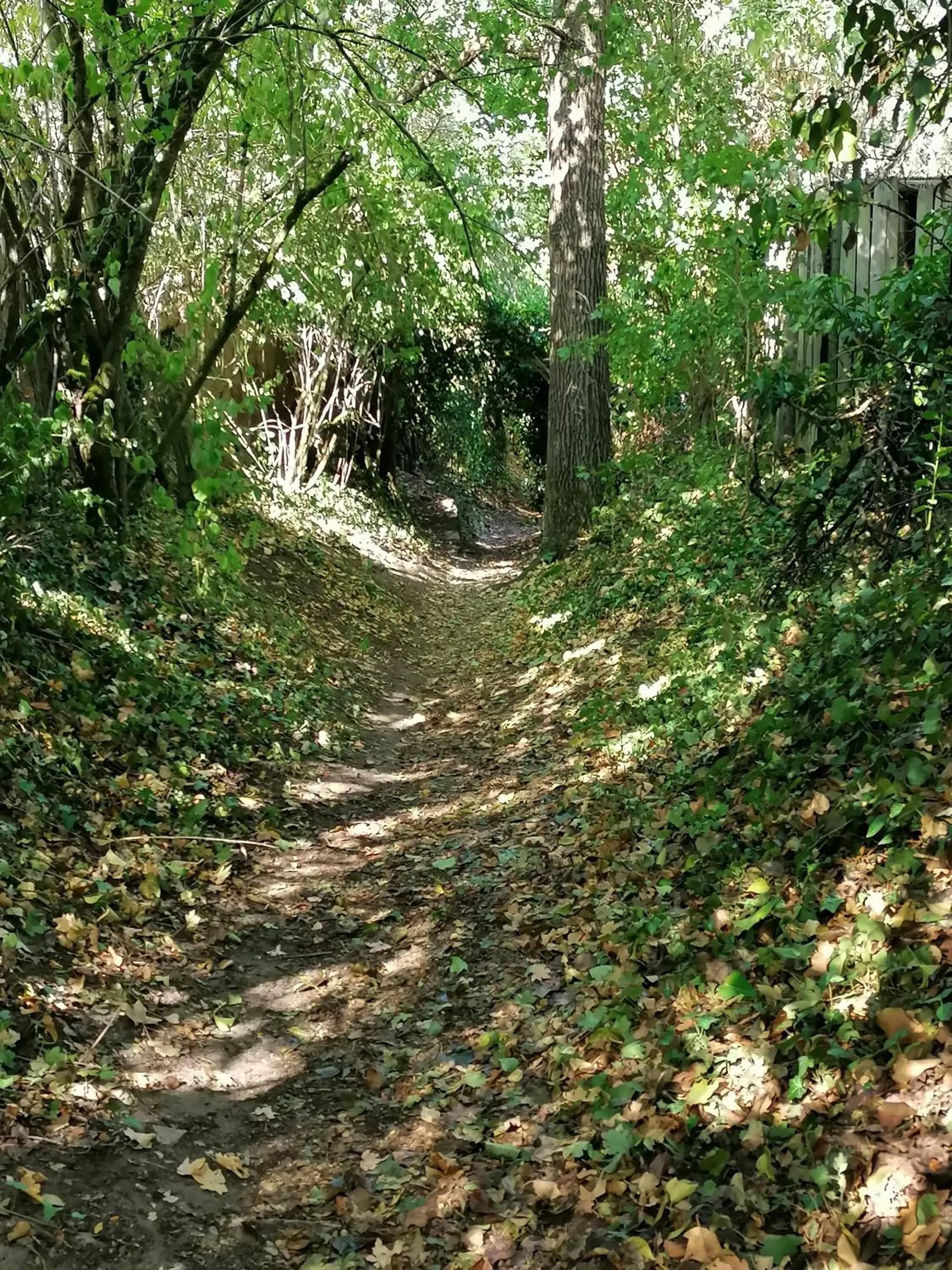 Hiking in Kirschberghof Gästehaus und Weinverkauf