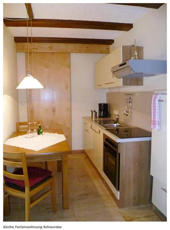 Kitchen or kitchenette in Kirschberghof Gästehaus und Weinverkauf