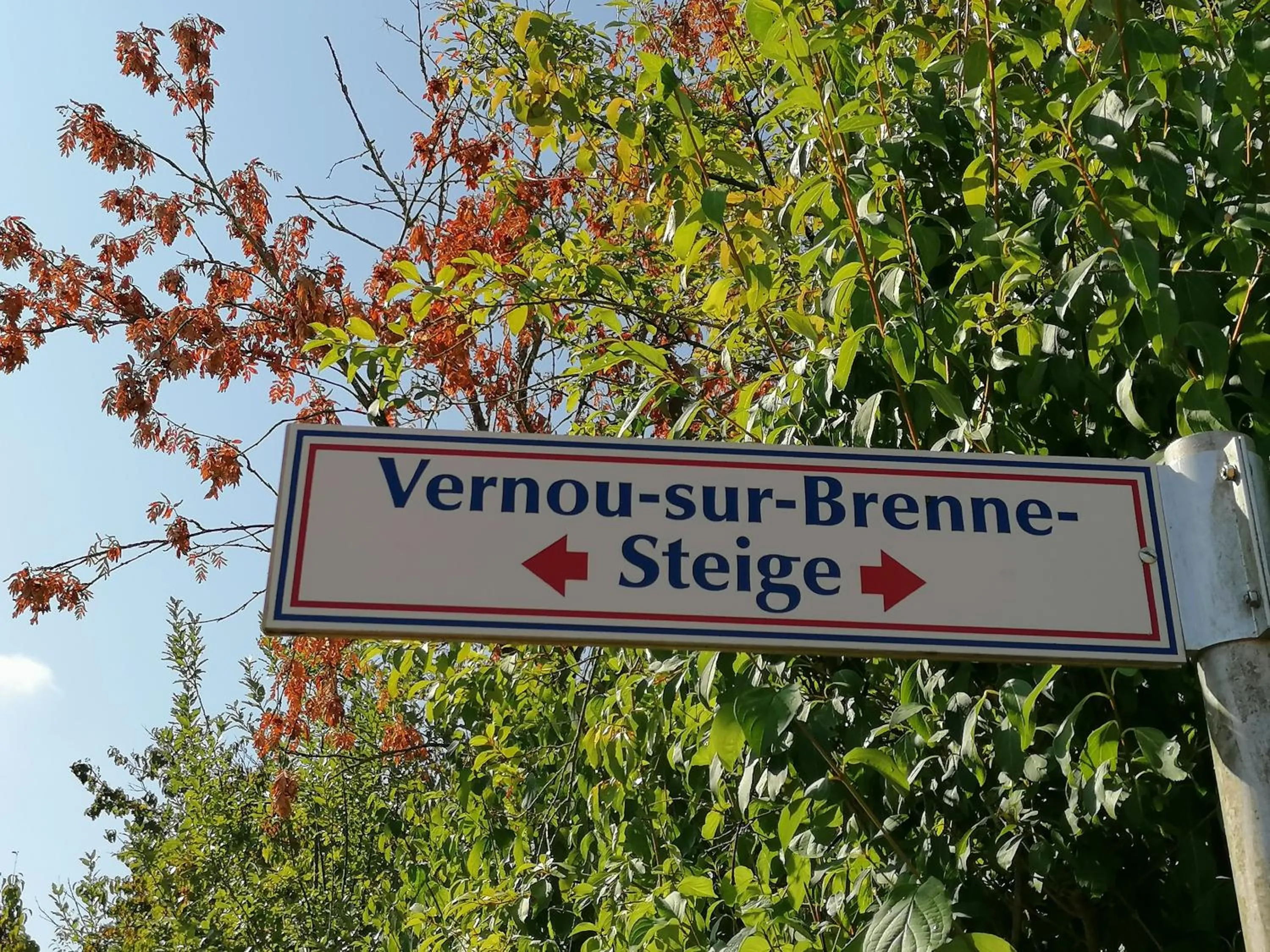 Hiking in Kirschberghof Gästehaus und Weinverkauf