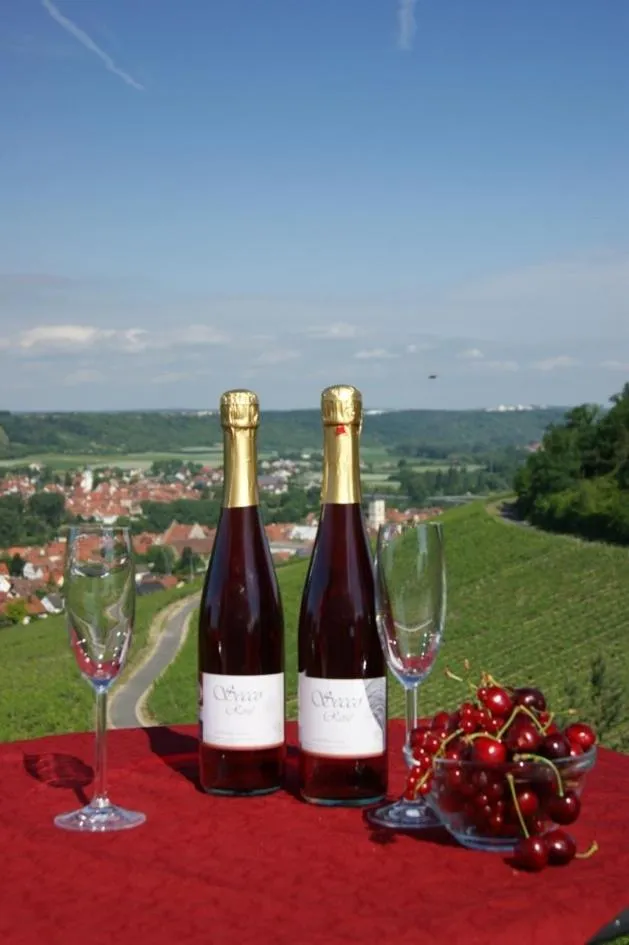 Natural landscape in Kirschberghof Gästehaus und Weinverkauf