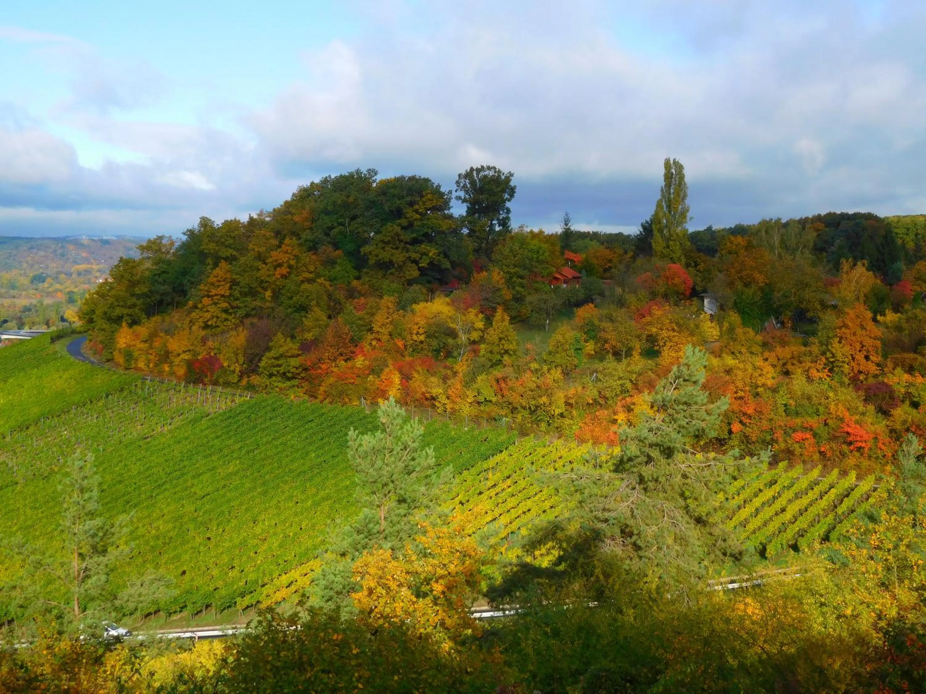 View (from property/room) in Kirschberghof Gästehaus und Weinverkauf