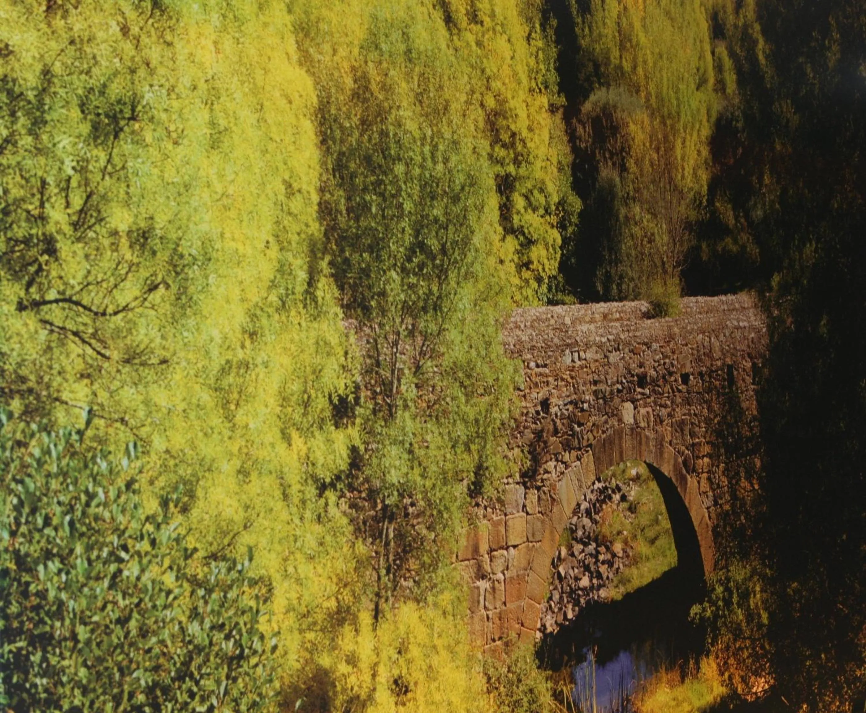 Area and facilities in Monte Filipe Hotel