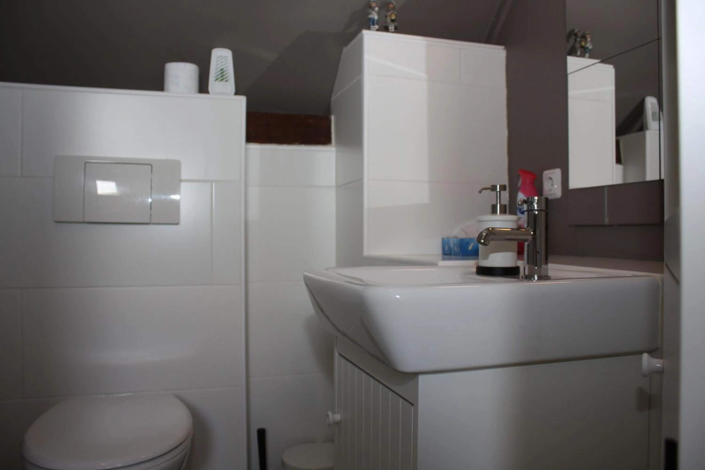 Toilet in B&B Tulden Farmhouse