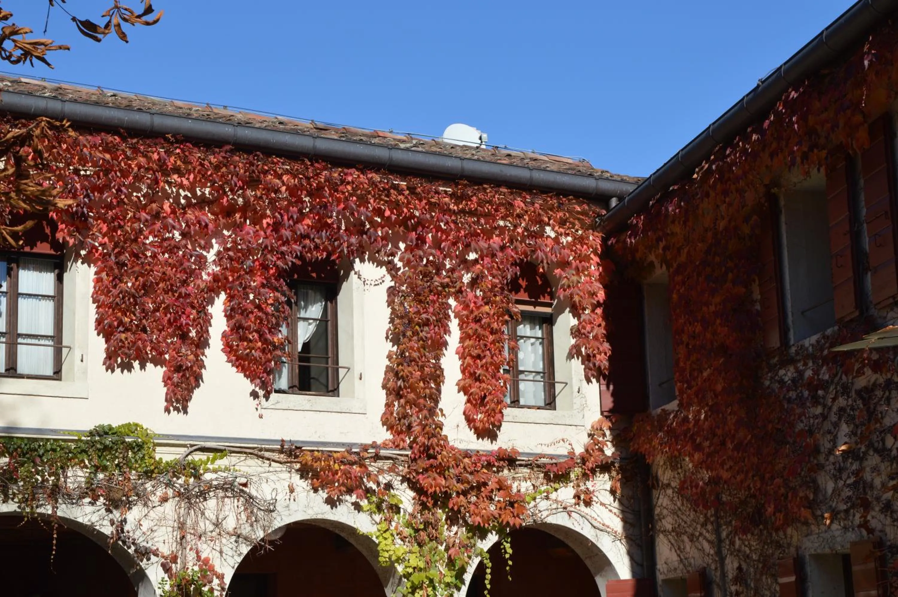 Garden in I giardini segreti di Villa Marcello Marinelli