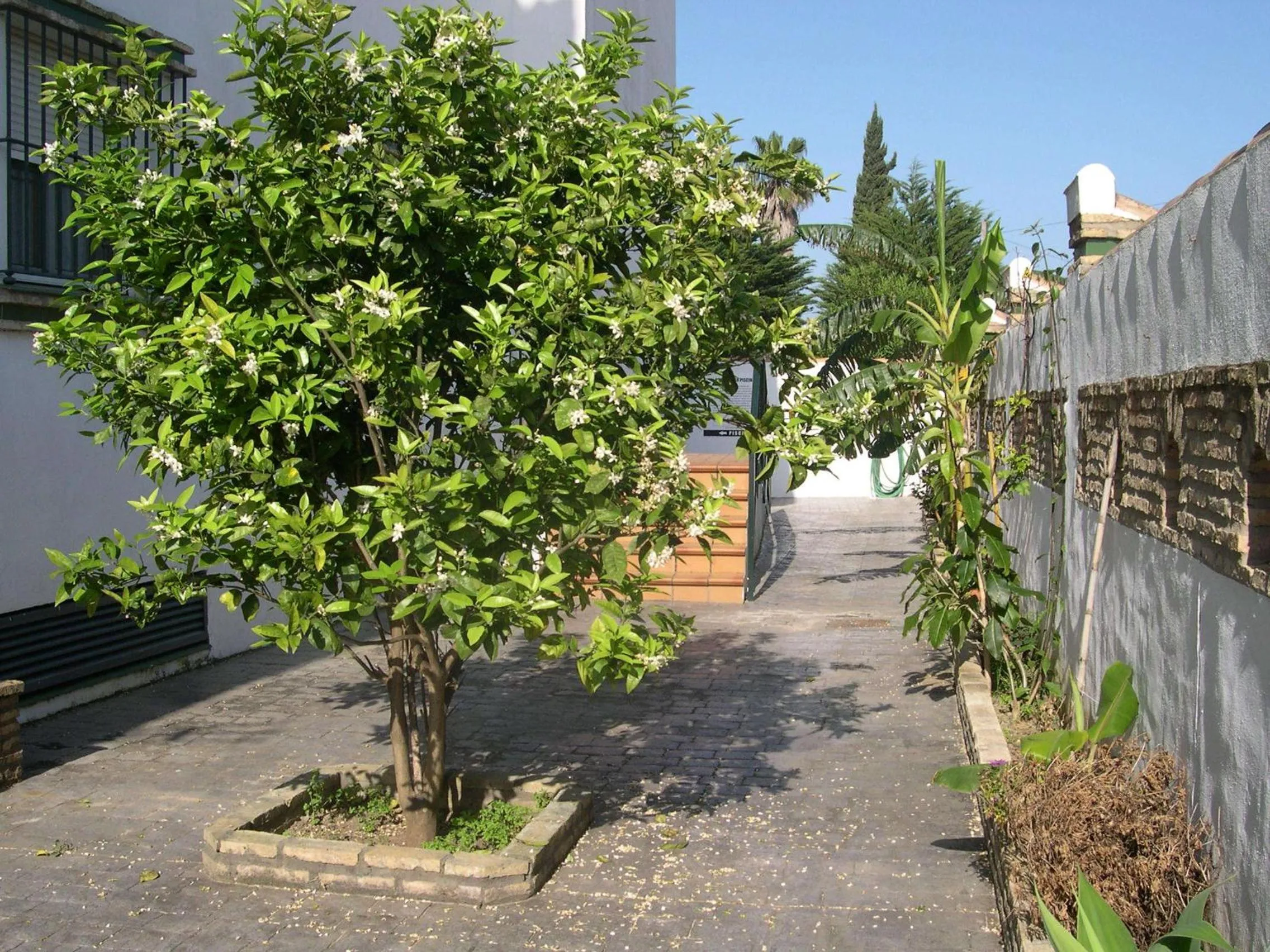 Day in Hotel Cortijo Los Gallos