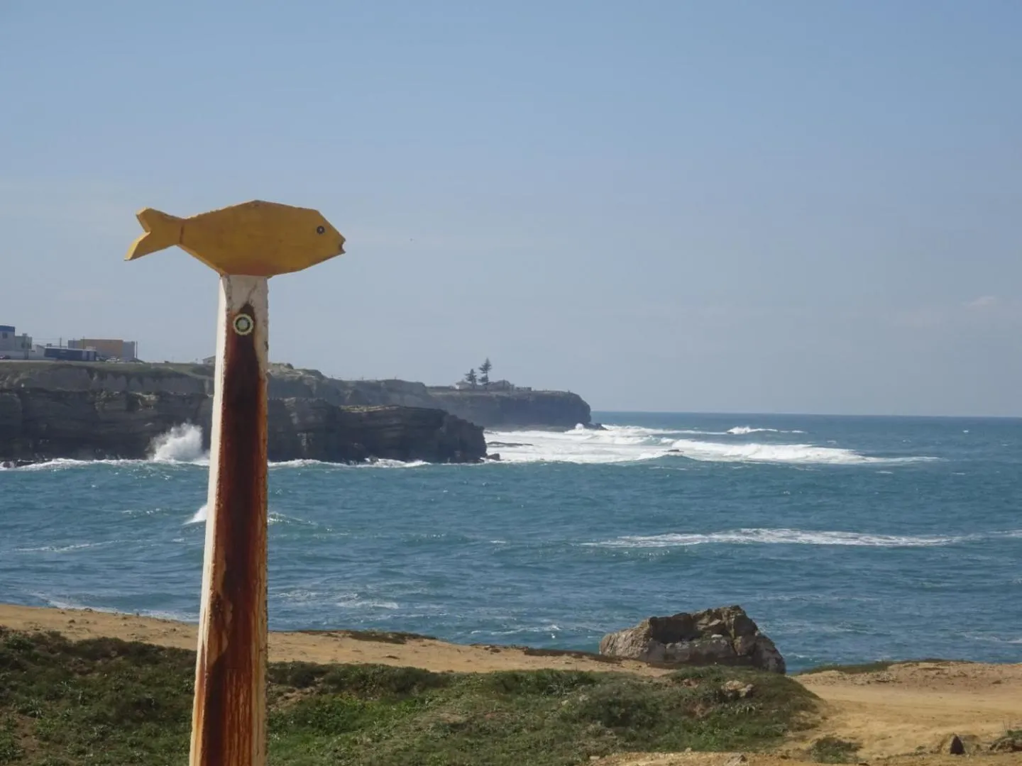 Restaurant/places to eat in Peniche Surf Lodge 1