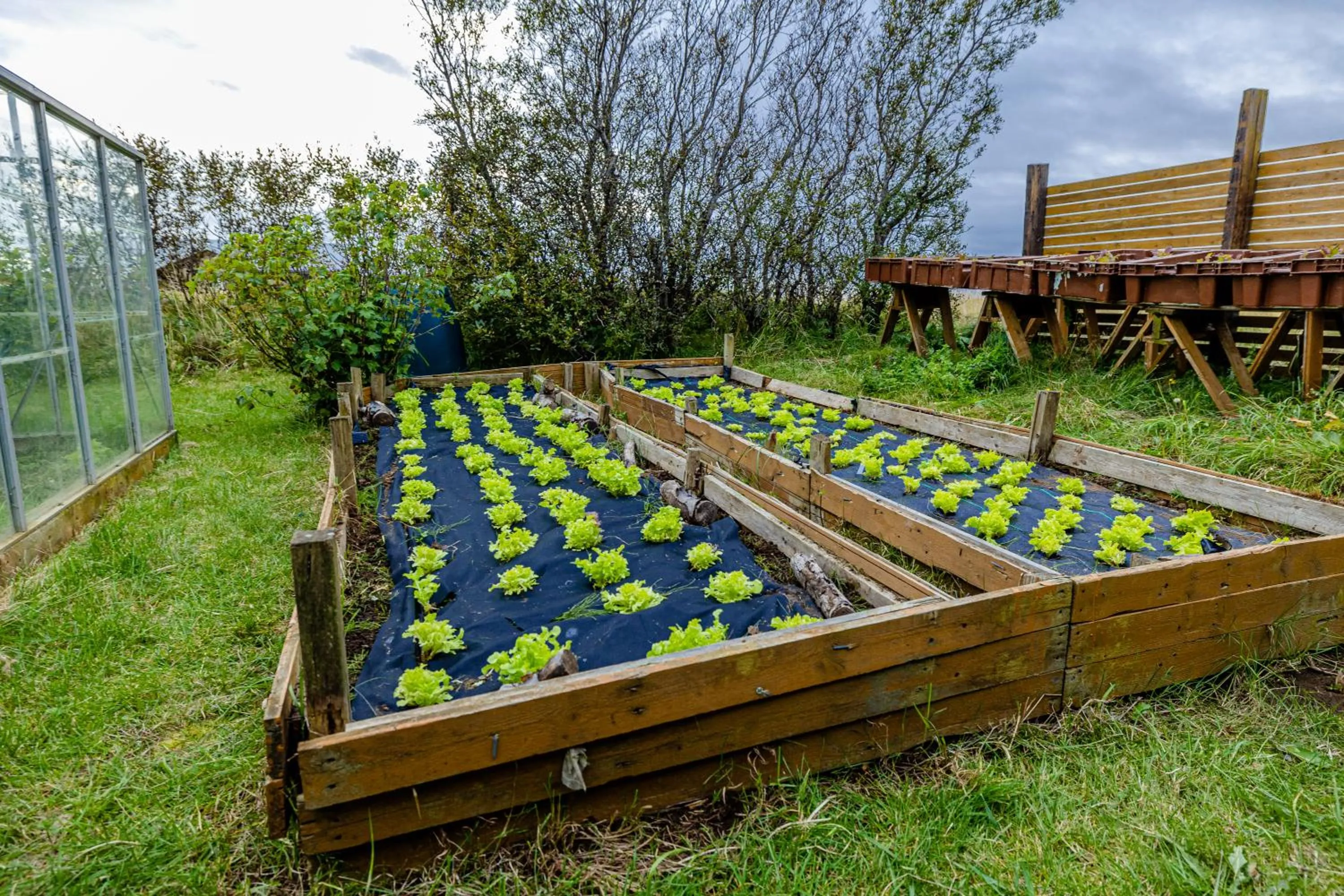 Day in Árnanes Country Hotel