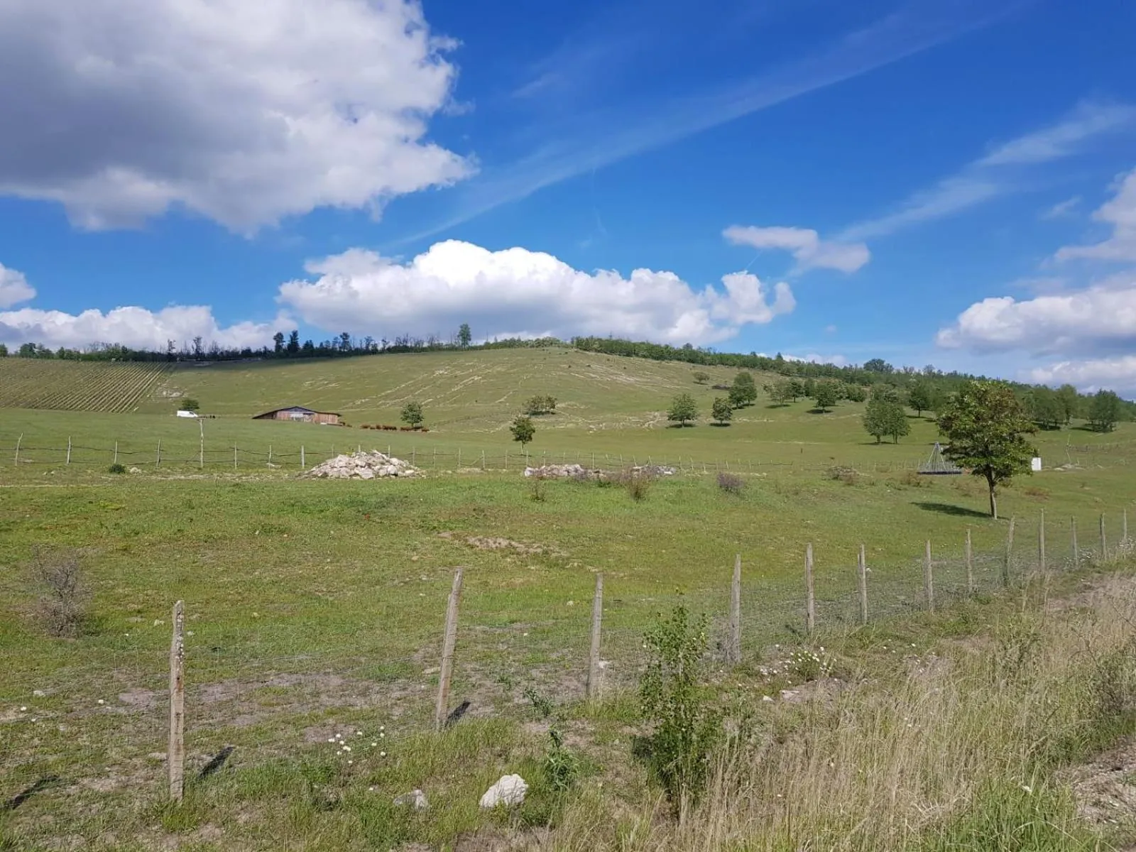 Natural landscape in Warias Hotel & Restaurant am Geiseltalsee - Nähe Merseburg