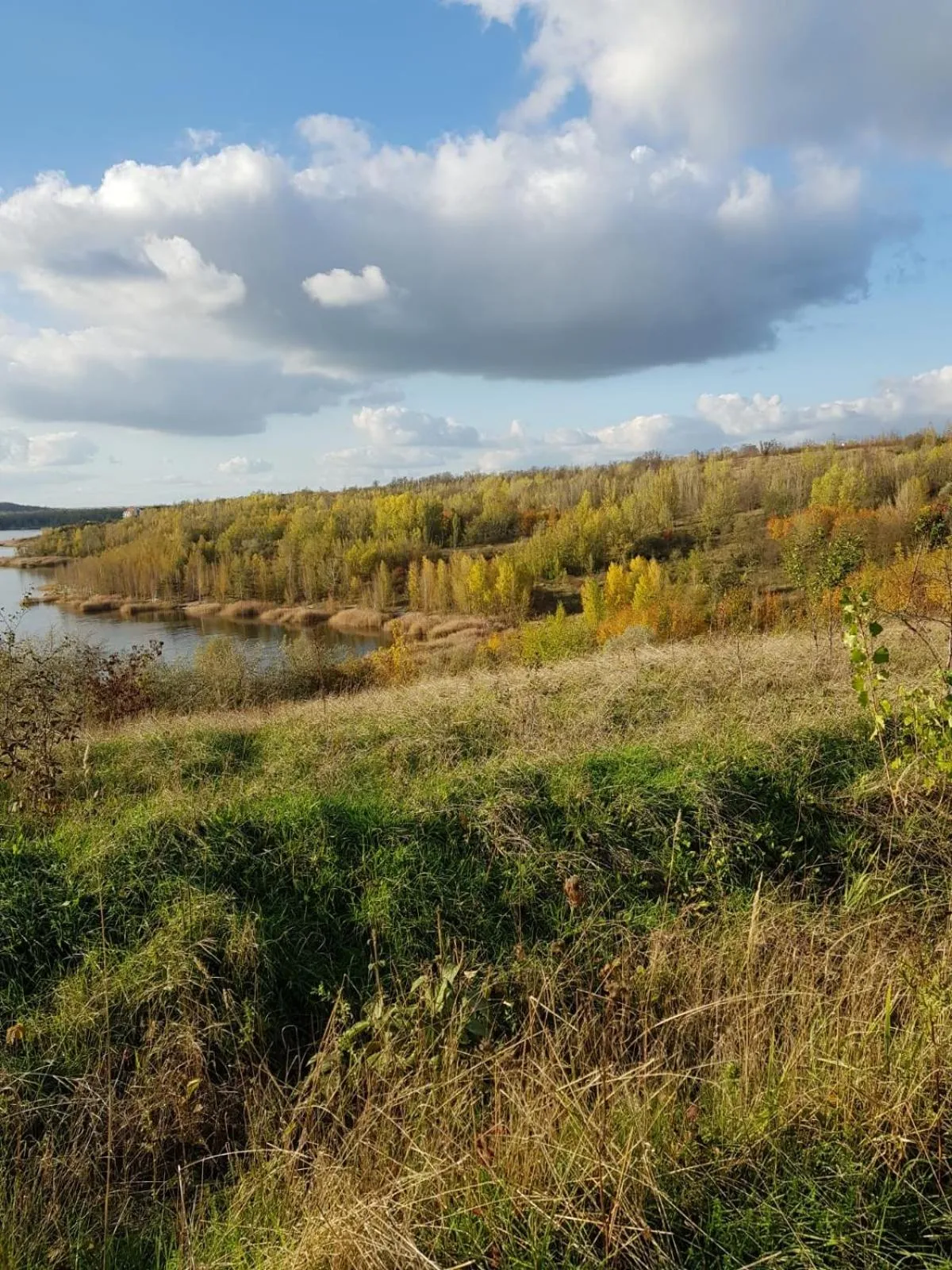 Activities in Warias Hotel & Restaurant am Geiseltalsee - Nähe Merseburg