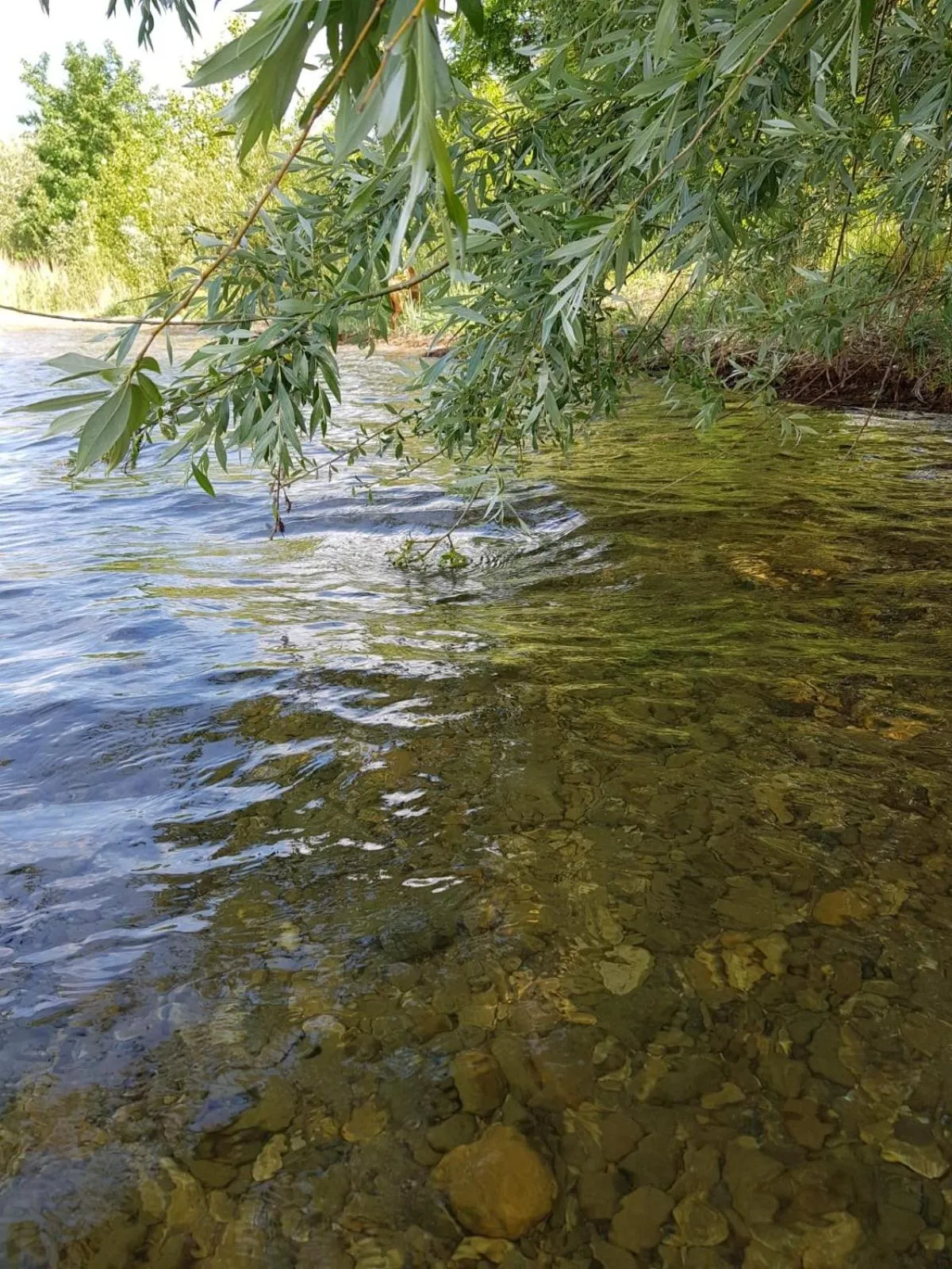 Natural landscape in Warias Hotel & Restaurant am Geiseltalsee - Nähe Merseburg