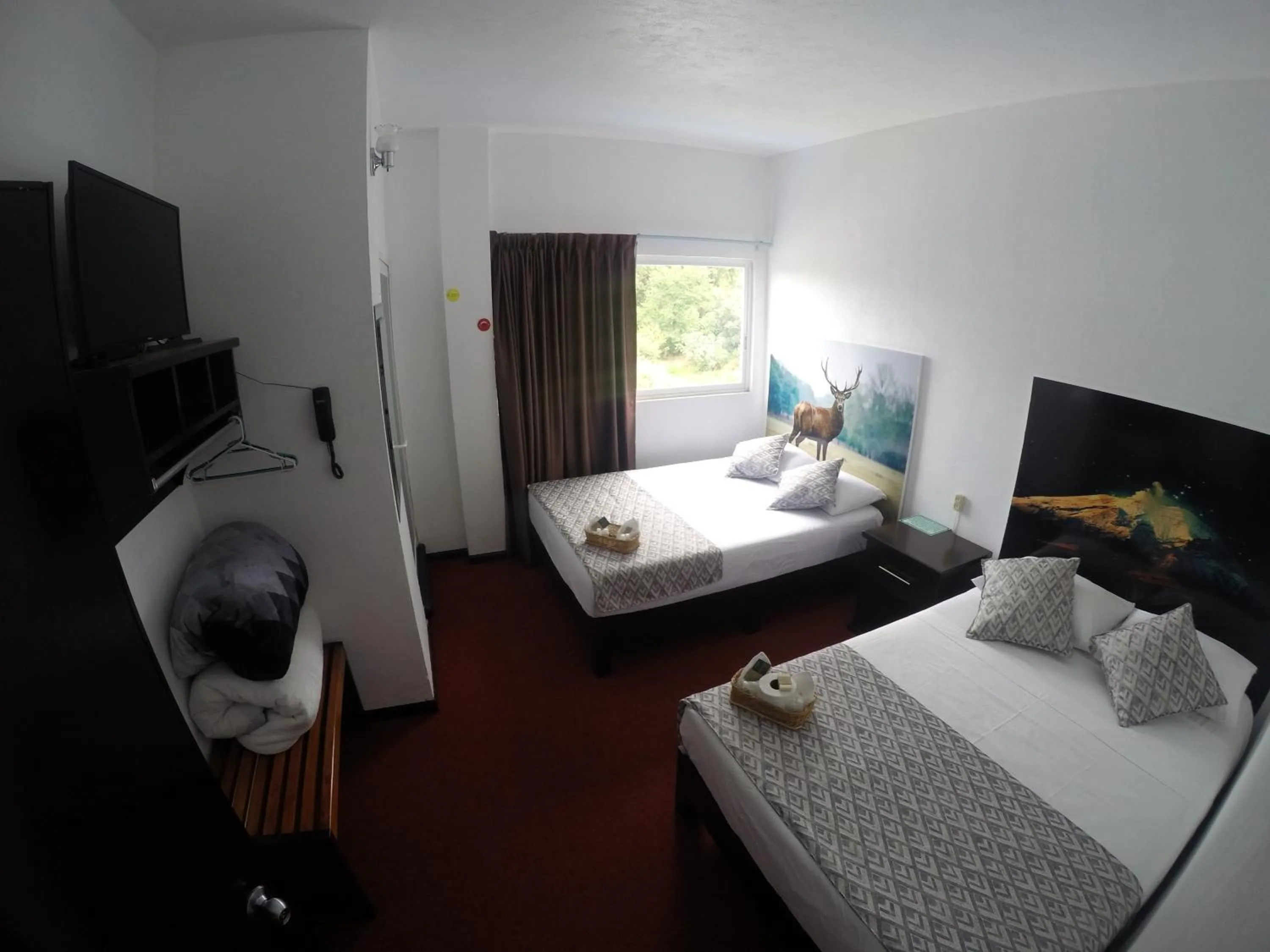 Photo of the whole room in Hotel Maragreens