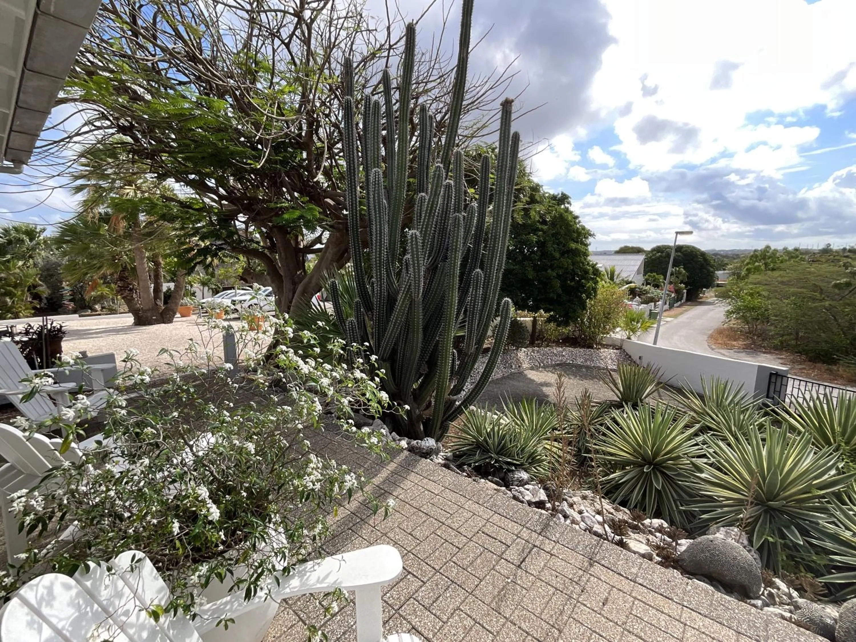 View (from property/room) in Bantopa Apartments