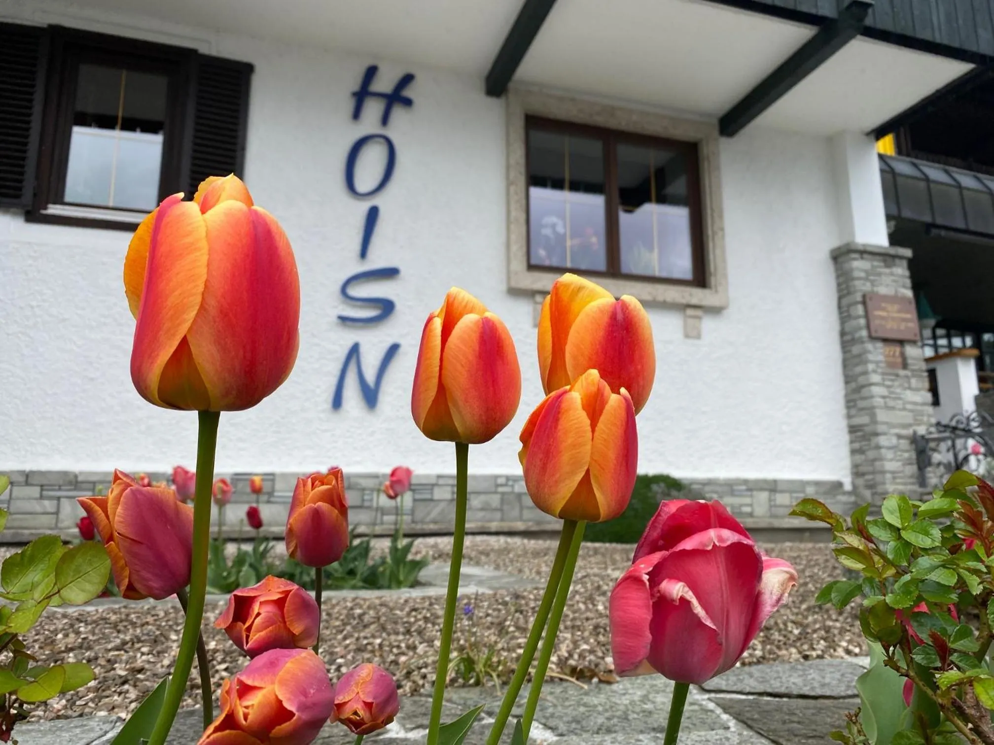 Property building in Seegasthof Hois'n Wirt - Hotel mit Wellnessbereich