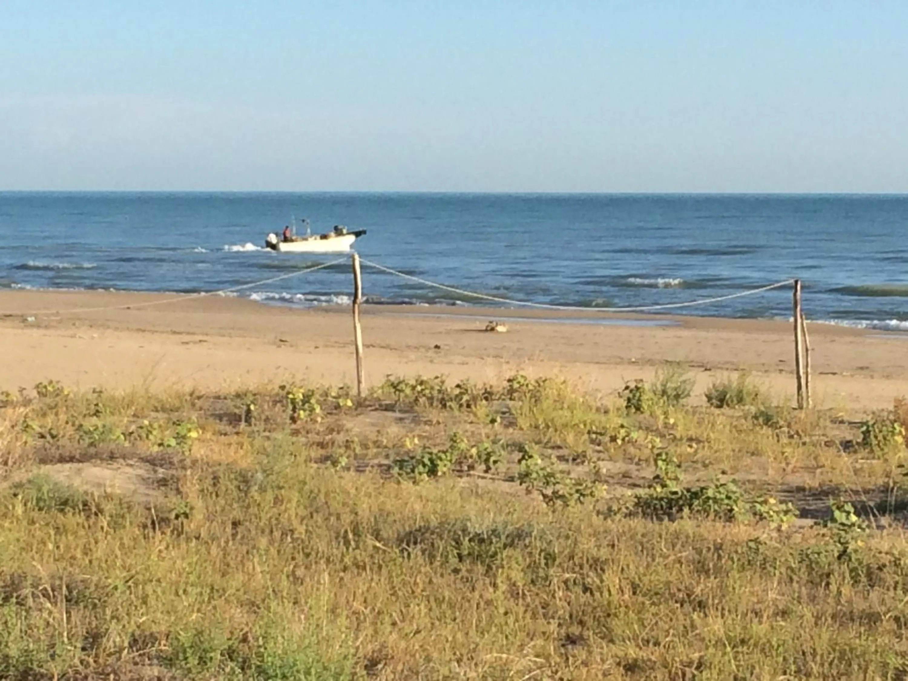 Beach in Hotel Florida