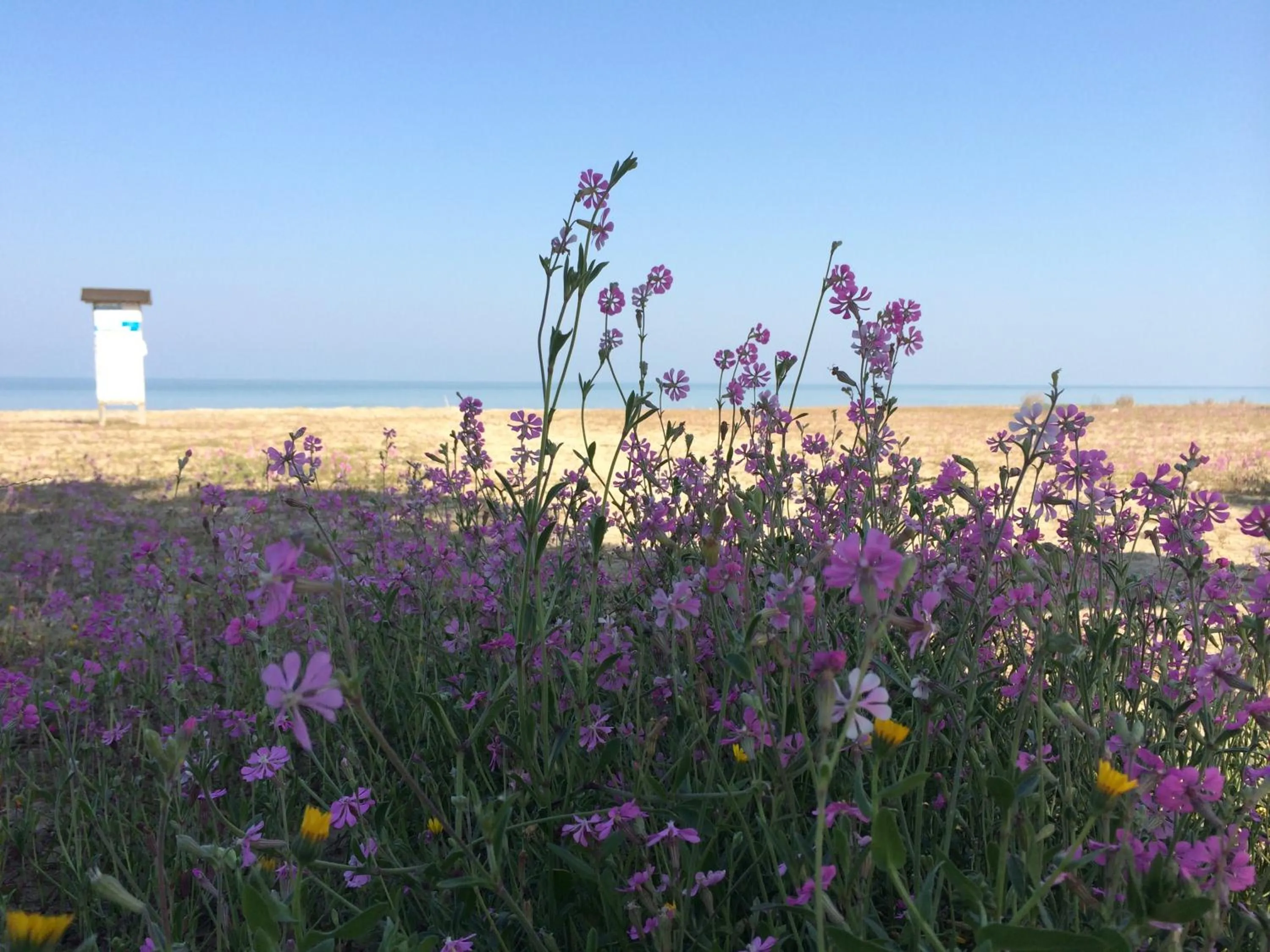 Area and facilities in Hotel Florida