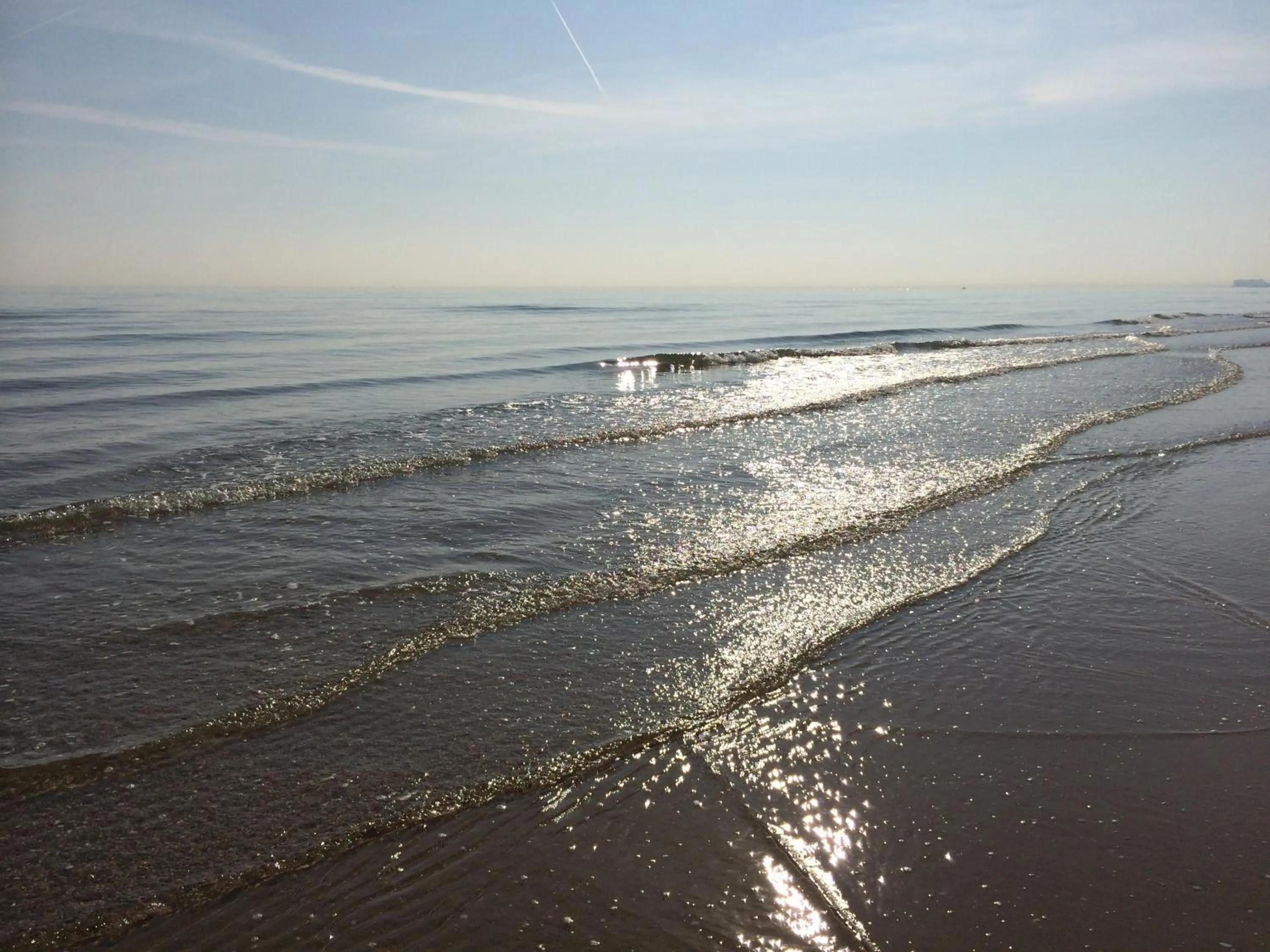 Area and facilities in Hotel Florida