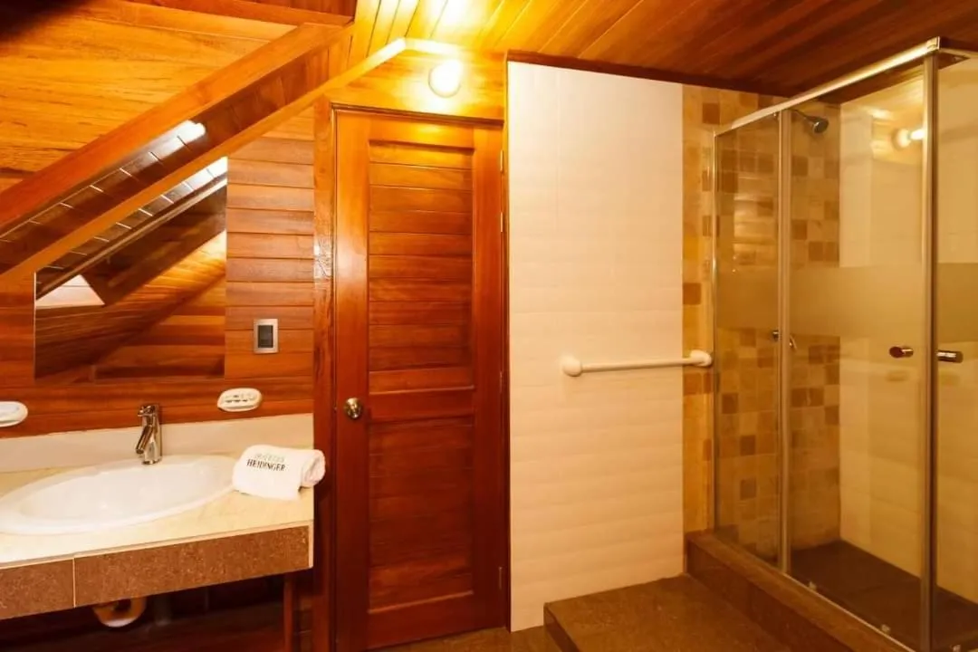 Shower in Hotel Heidinger