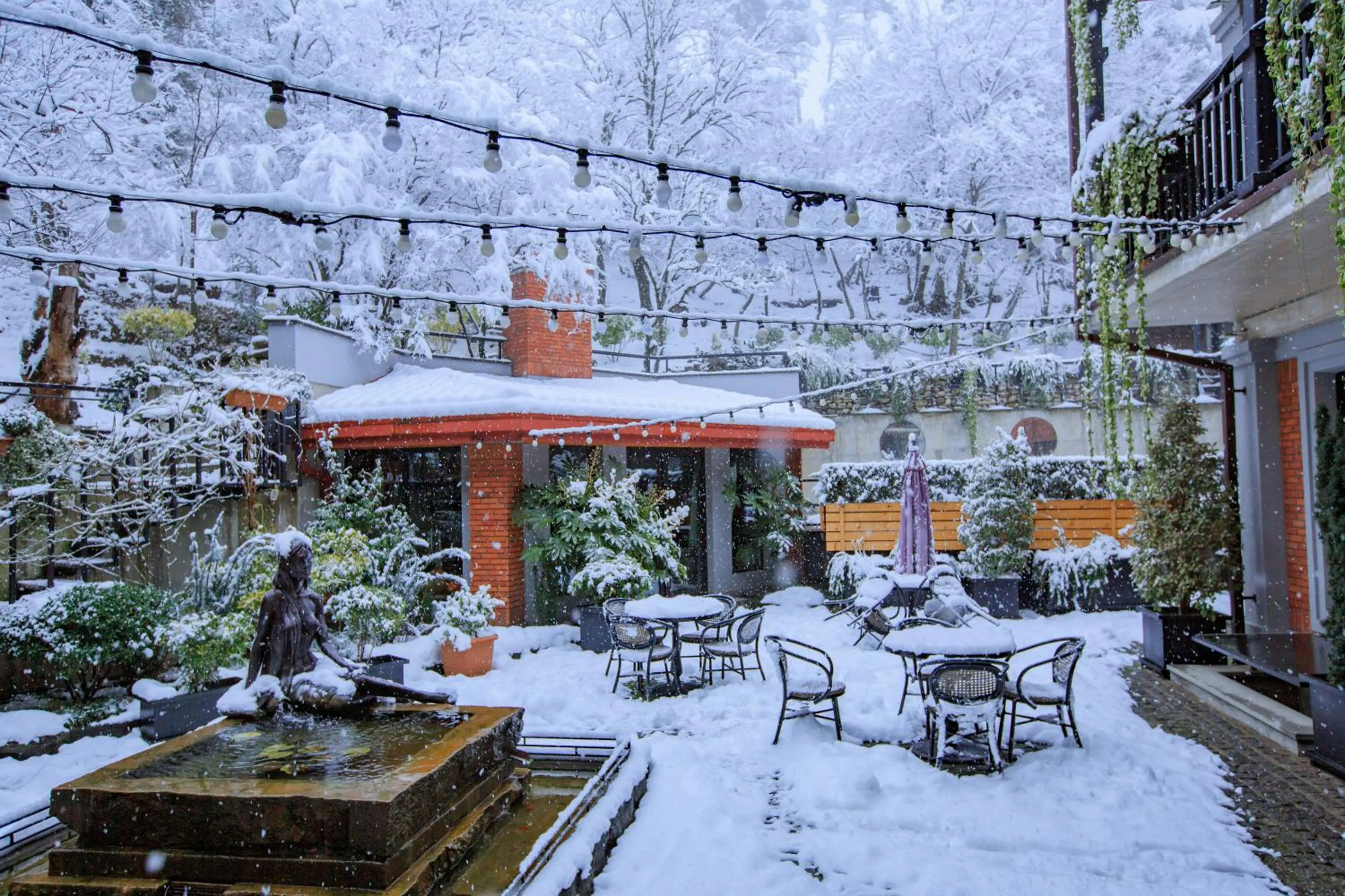 Winter in Seventeen Rooms