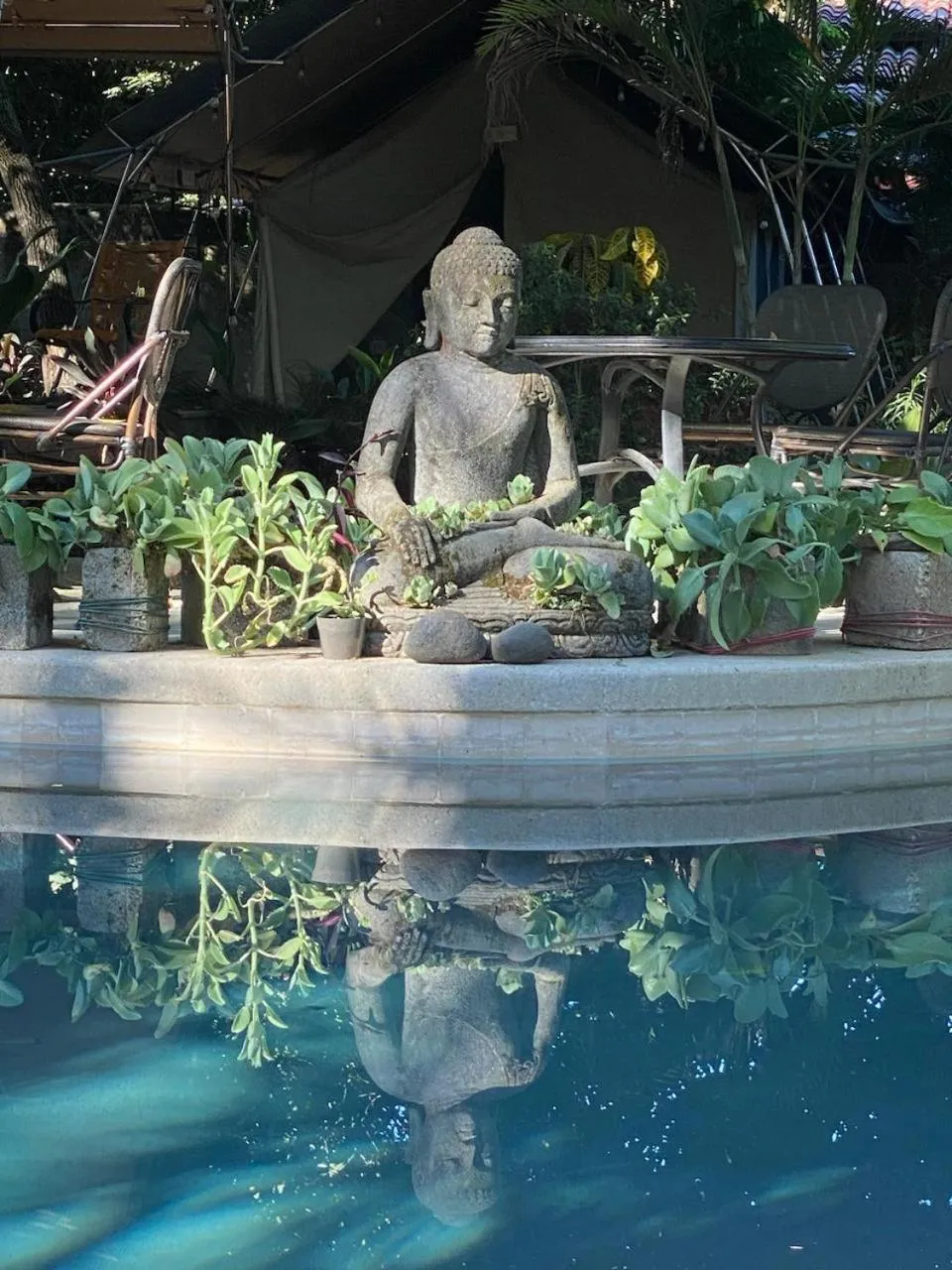 Curiol Boutique Hotel & Lounge