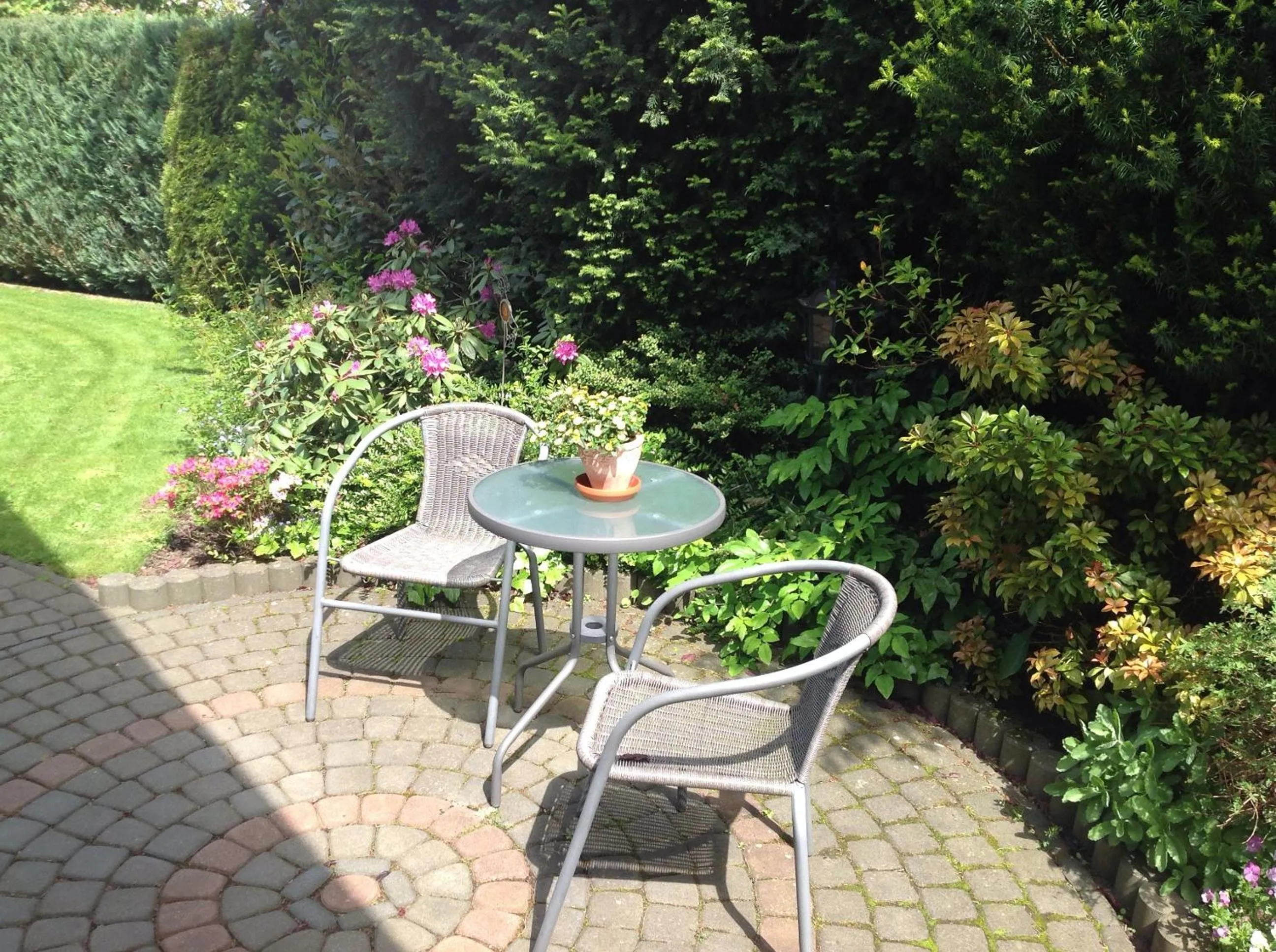 View (from property/room) in Haus Kollwitzweg - Ferienwohnungen