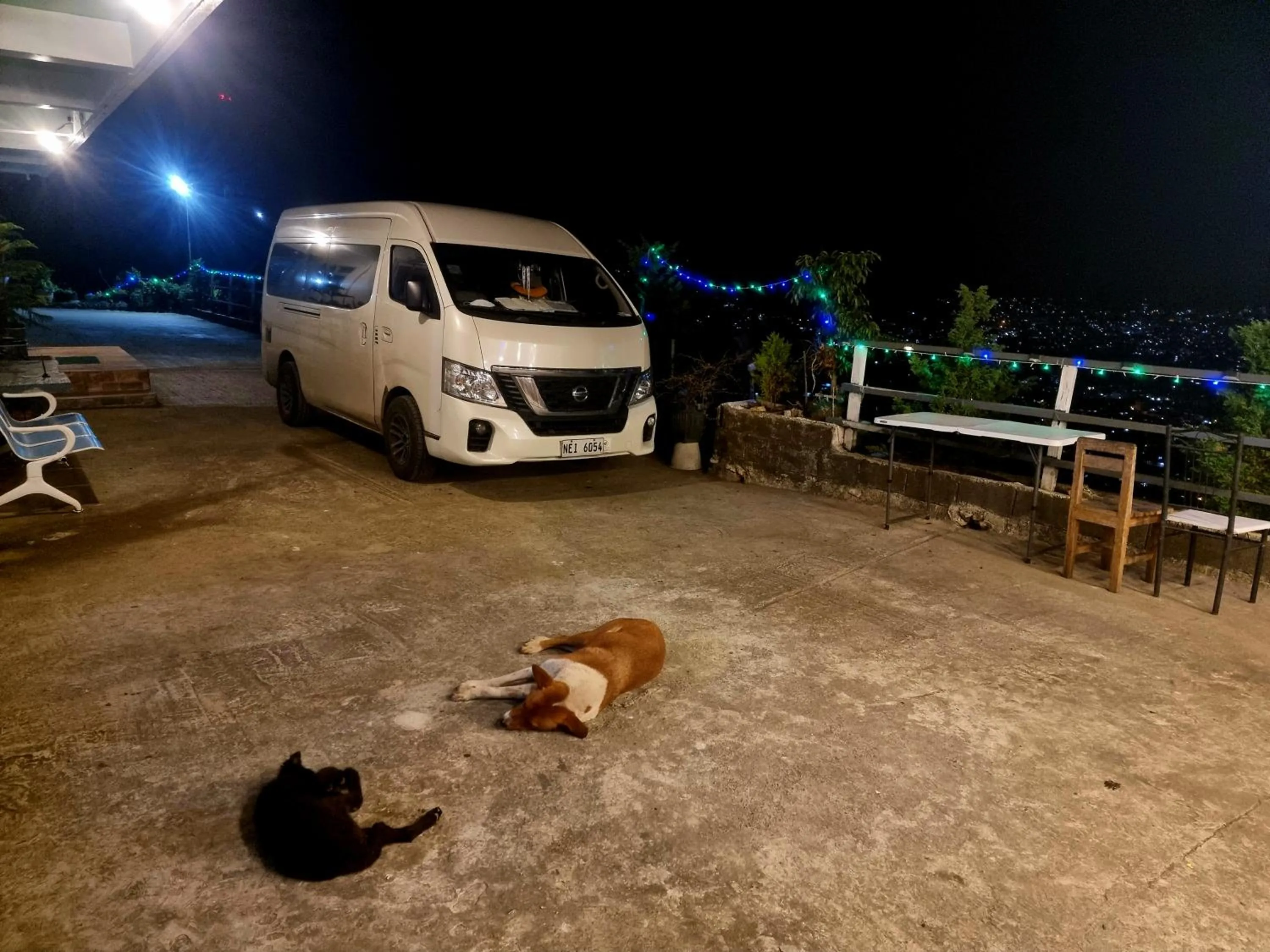 Night in Wanay's Rocky Mountain Homestay