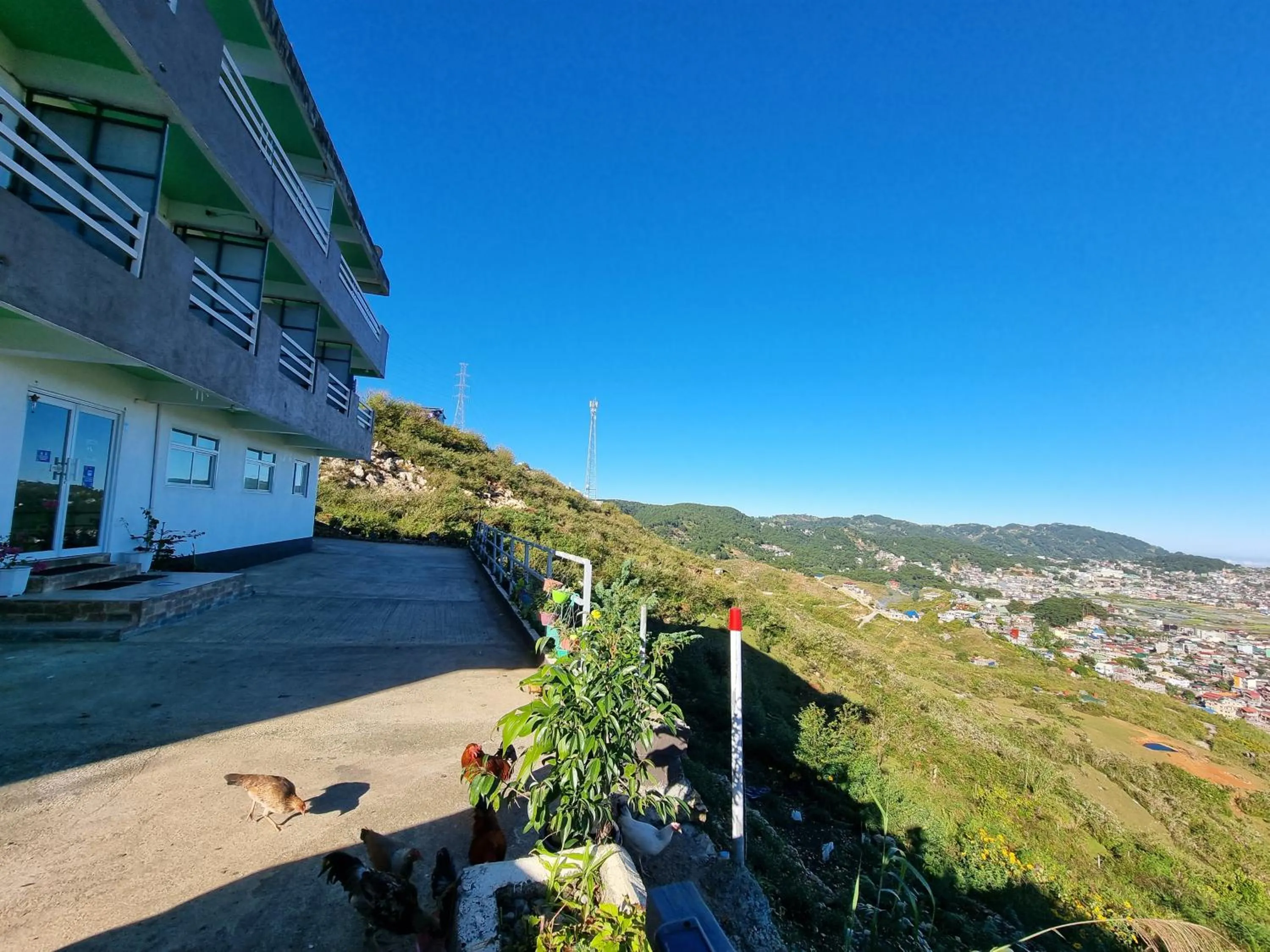 Day in Wanay's Rocky Mountain Homestay