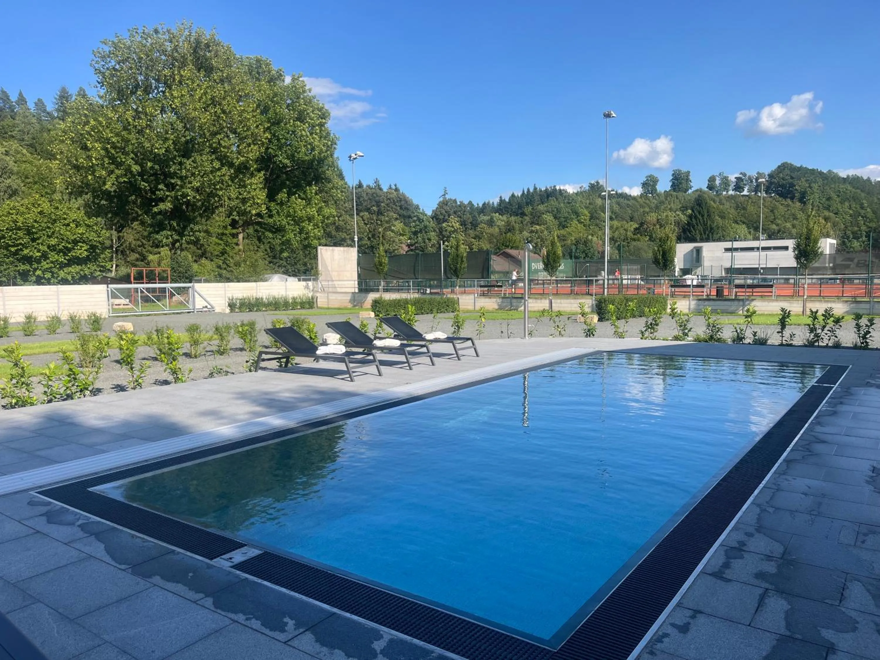 Swimming pool in Sport & Relax Hotel Davidek