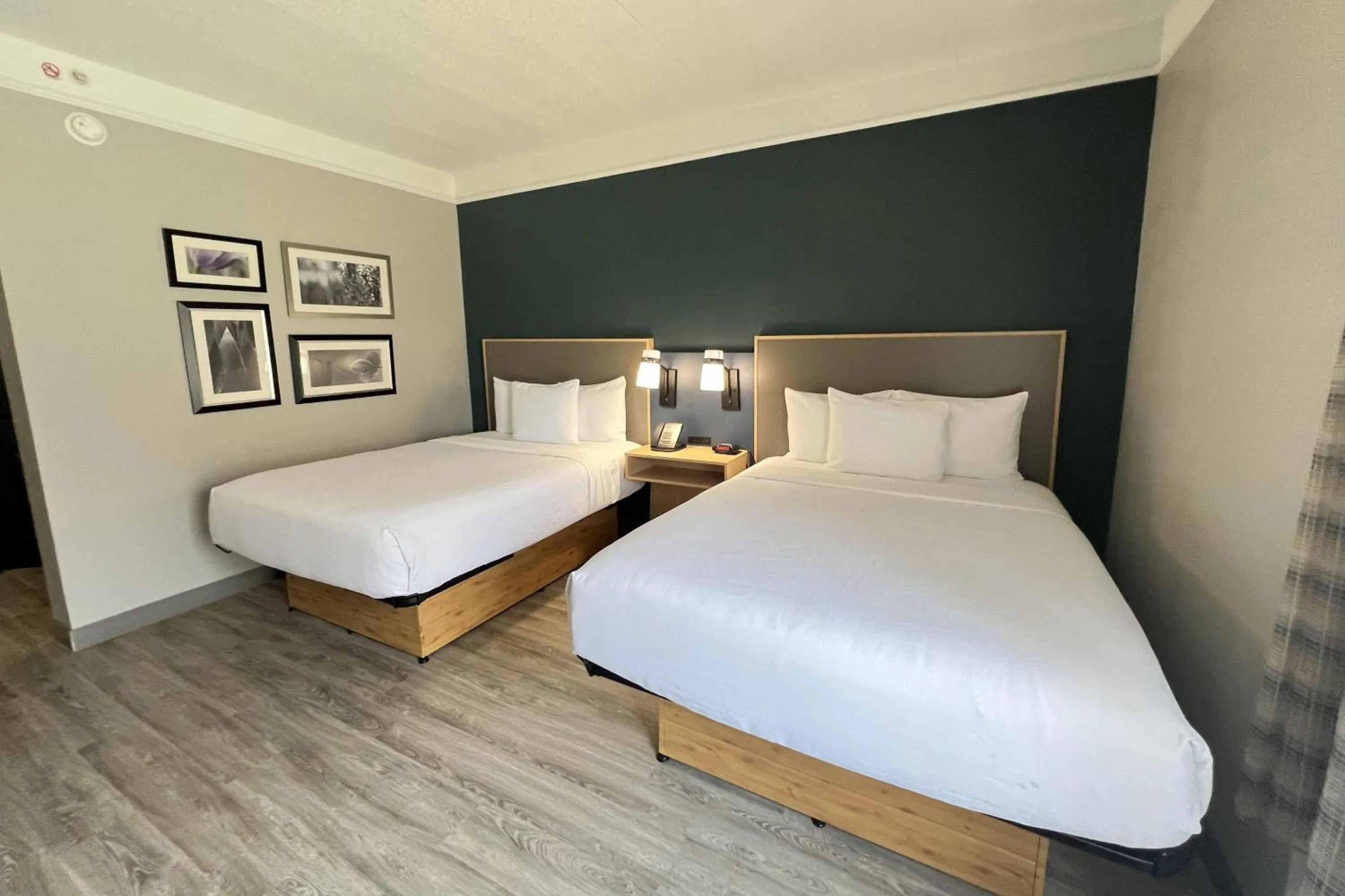 Photo of the whole room, Bed in La Quinta by Wyndham Dallas Arlington South