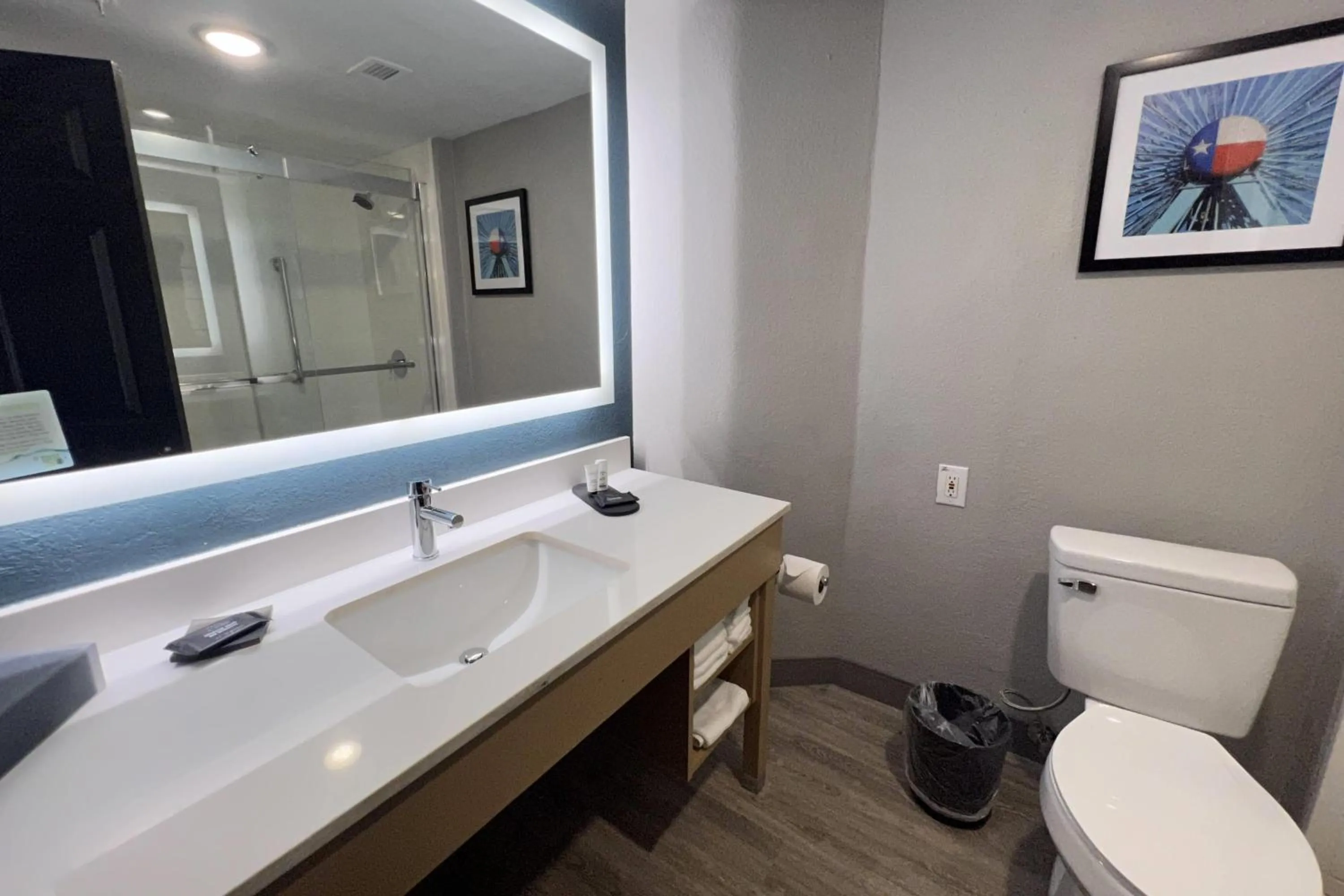 Bathroom in La Quinta by Wyndham Dallas Arlington South
