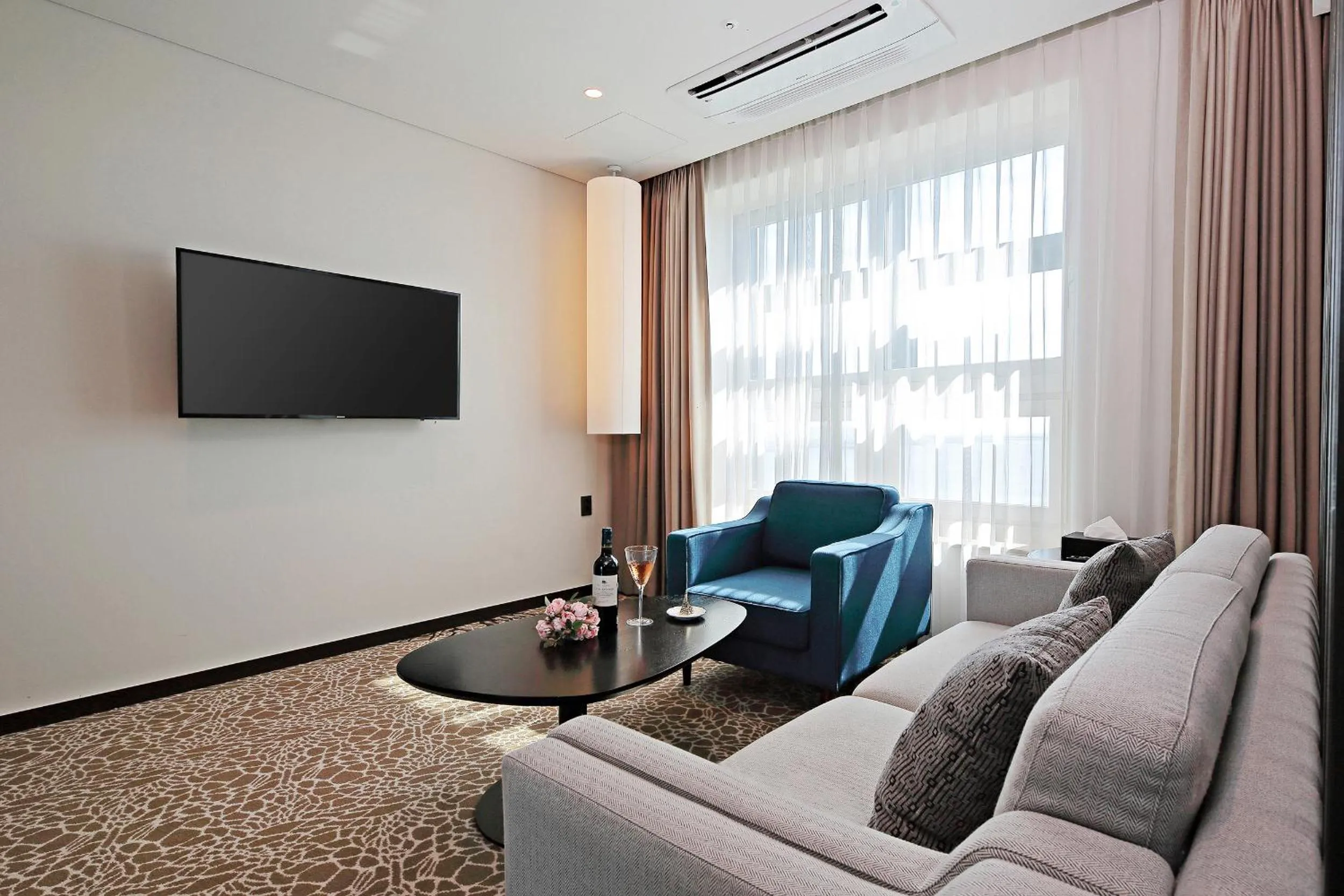 TV and multimedia in Airsky Hotel Incheon