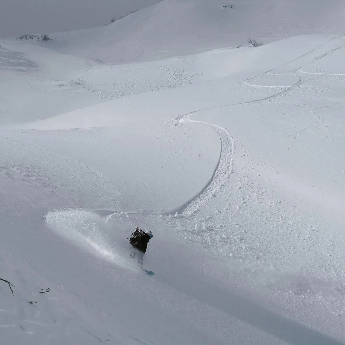 Natural landscape in Chillps