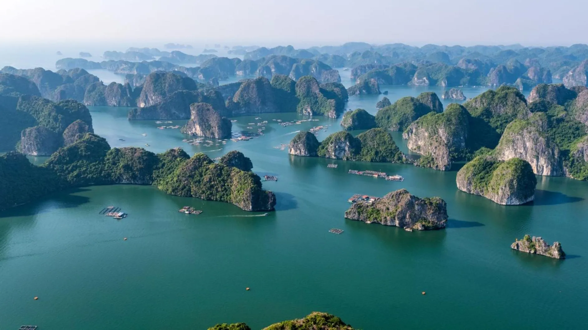 Day in Indochine Cruise Lan Ha Bay