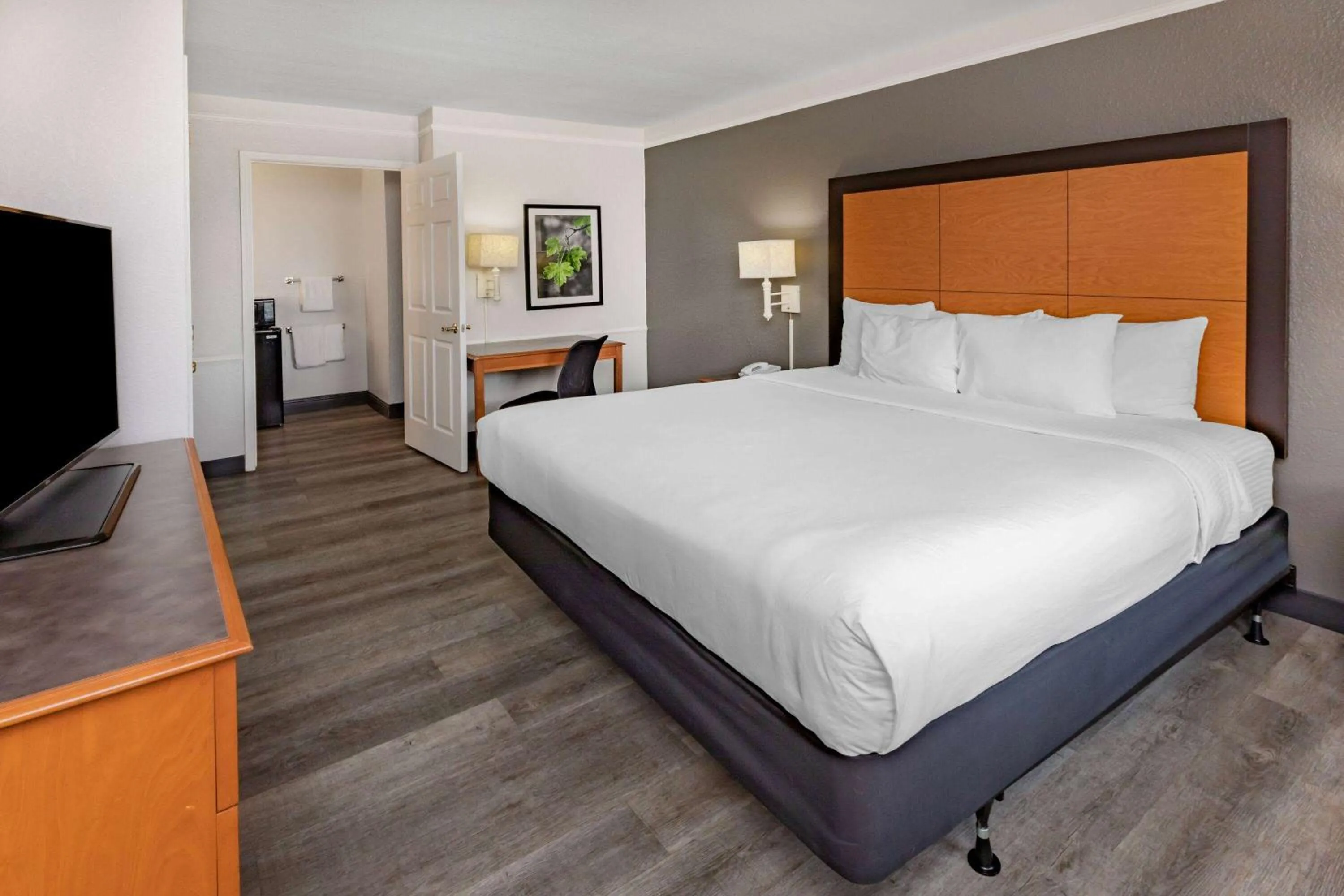 Photo of the whole room, Bed in La Quinta Inn by Wyndham Laredo I-35