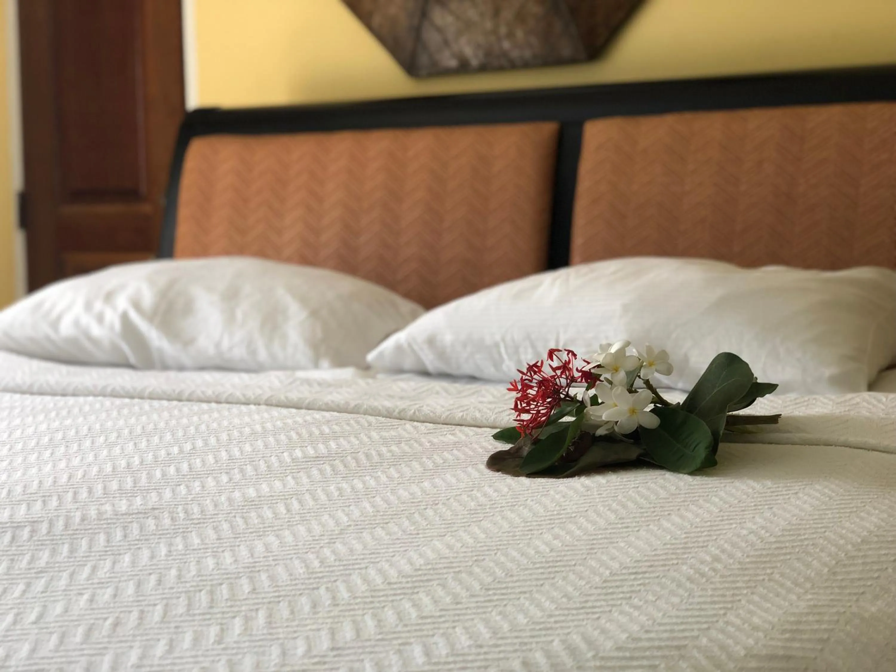 Bed in The Comanche A Club Inn of Christianted St Croix