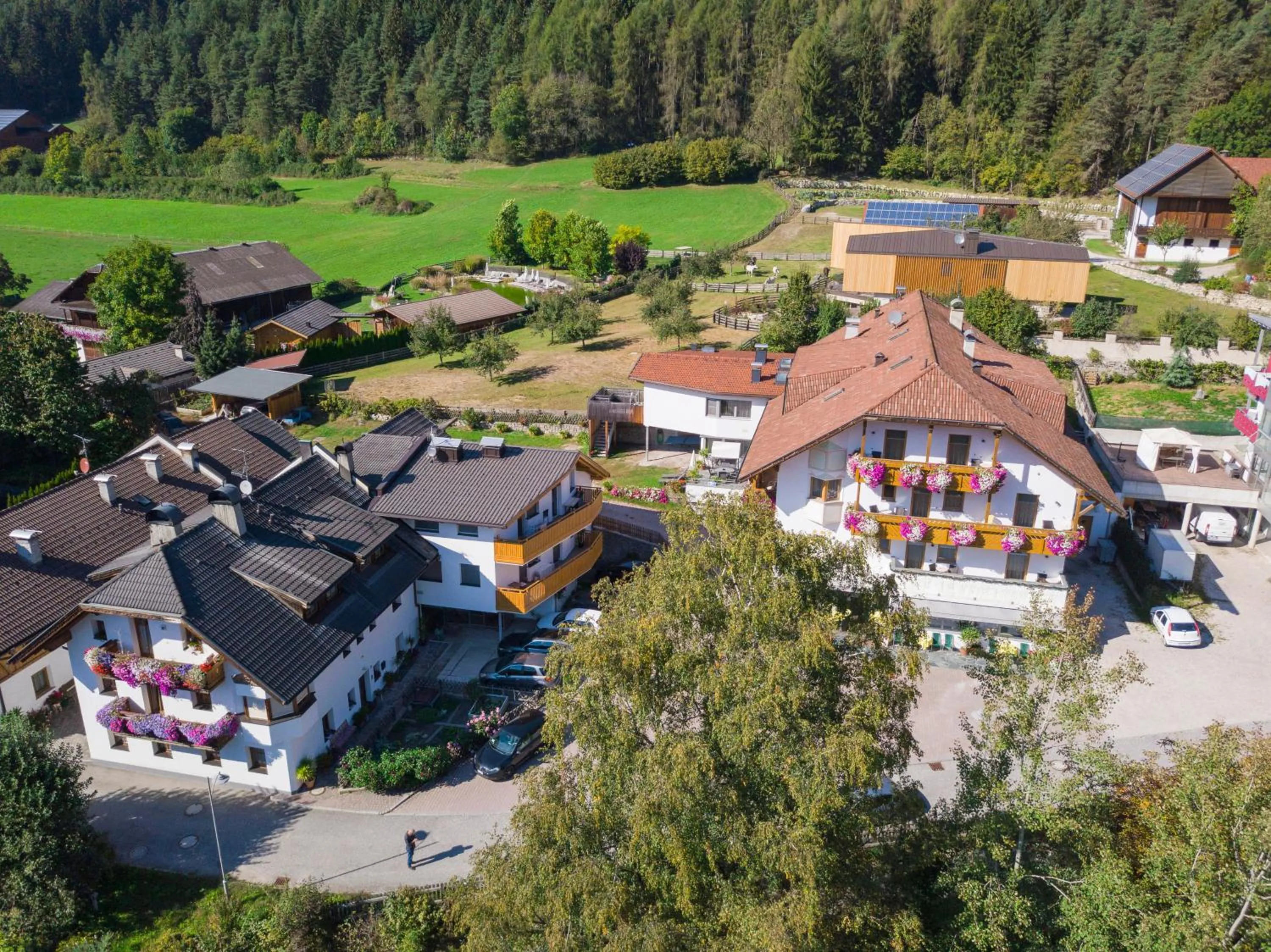 Property building in Hotel Elisabeth