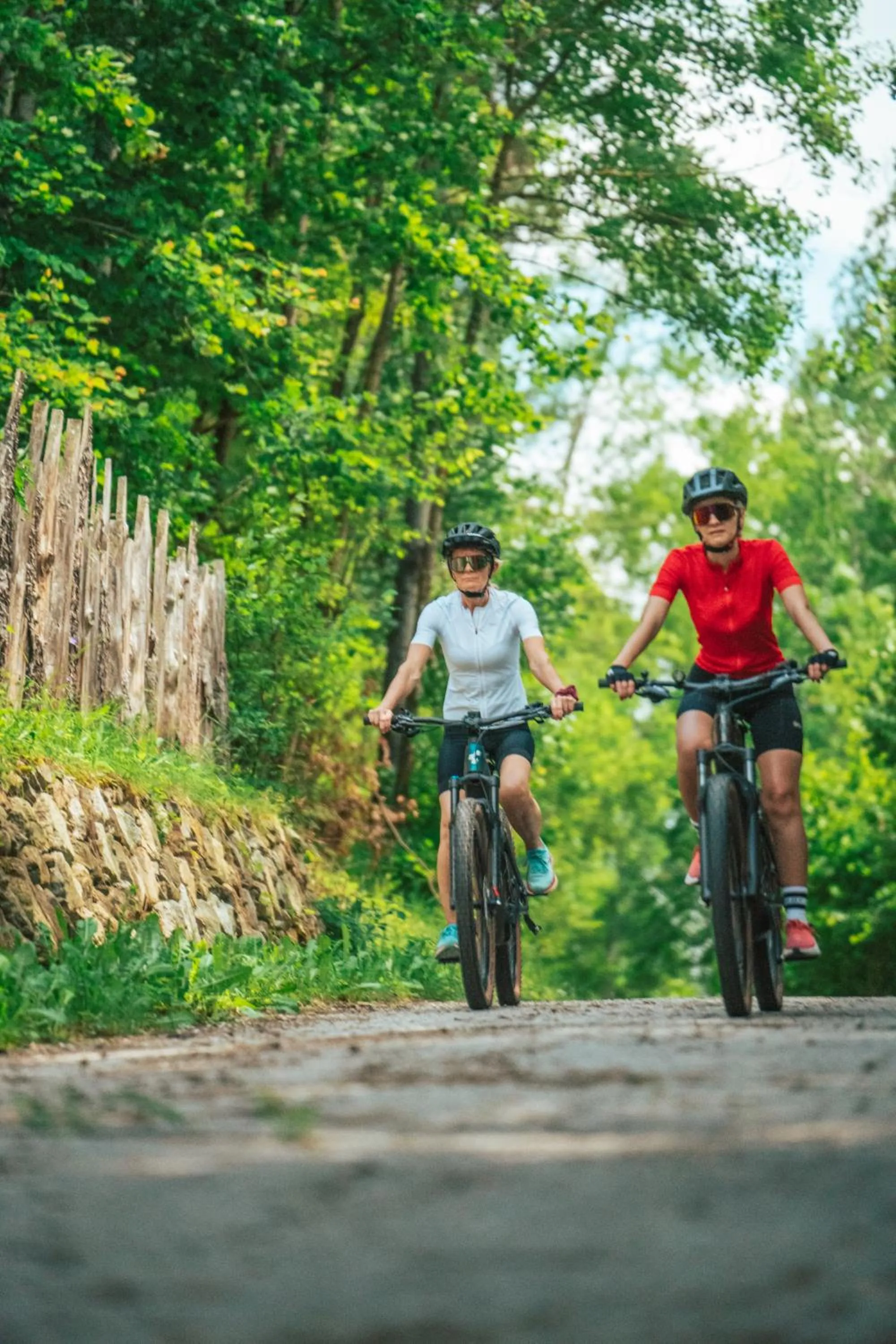 Day in Hotel Elisabeth