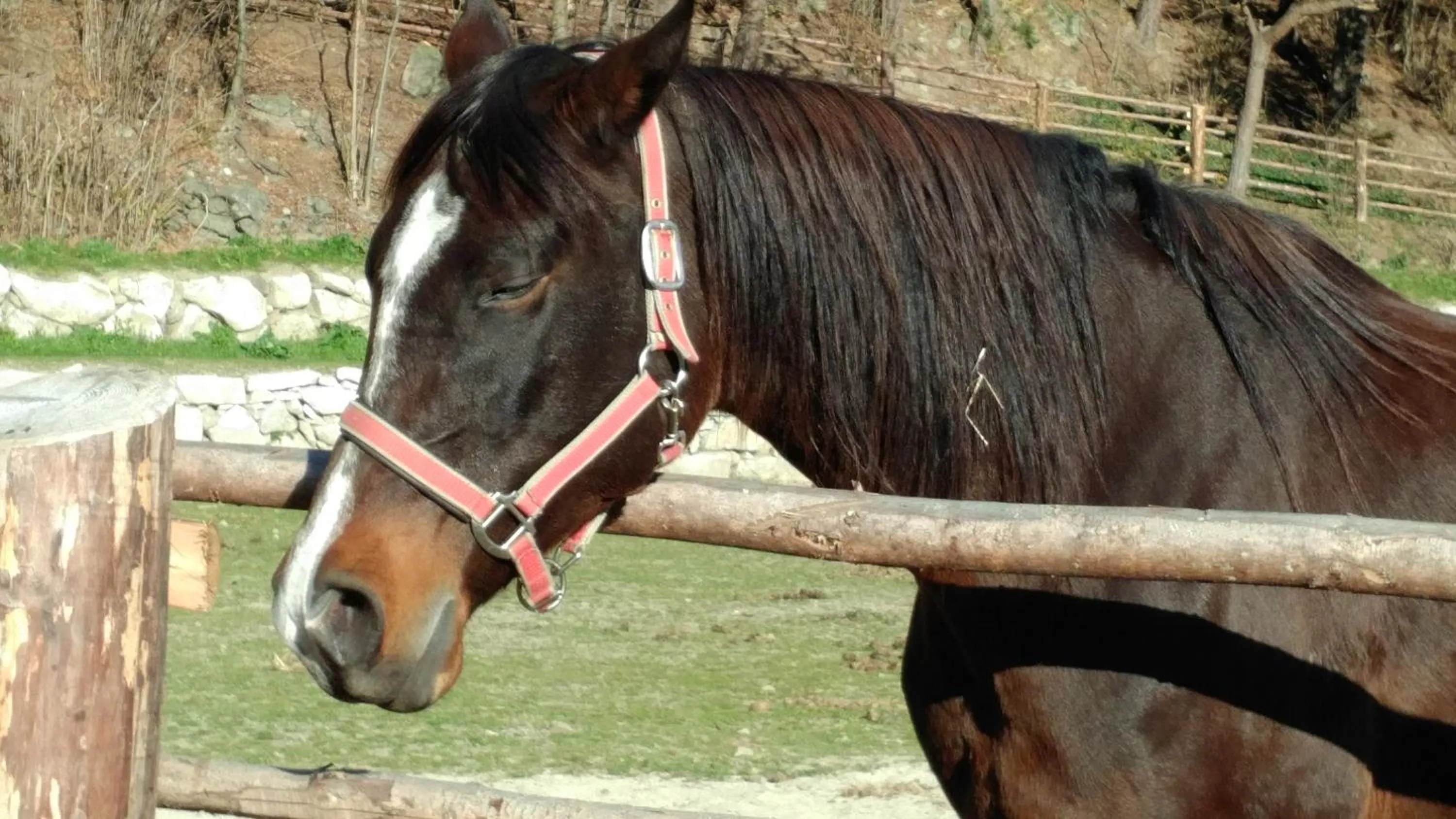 Area and facilities in Hotel Elisabeth