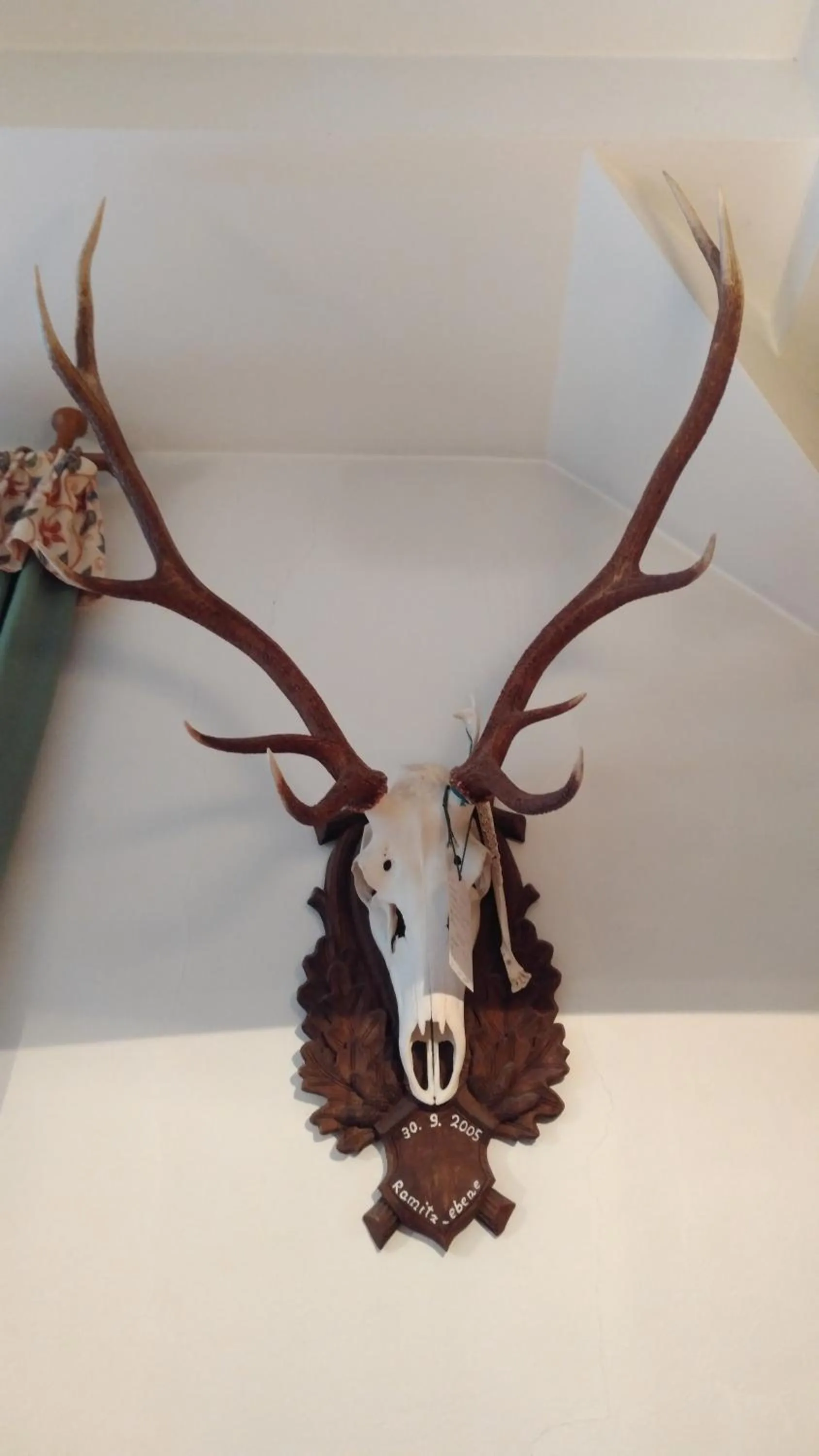 Decorative detail in Hotel Elisabeth