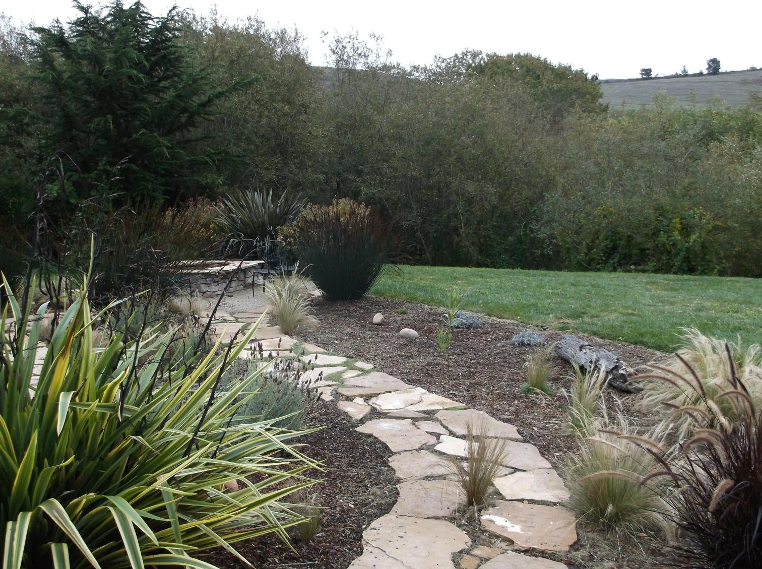 Garden in Cambria Palms Motel