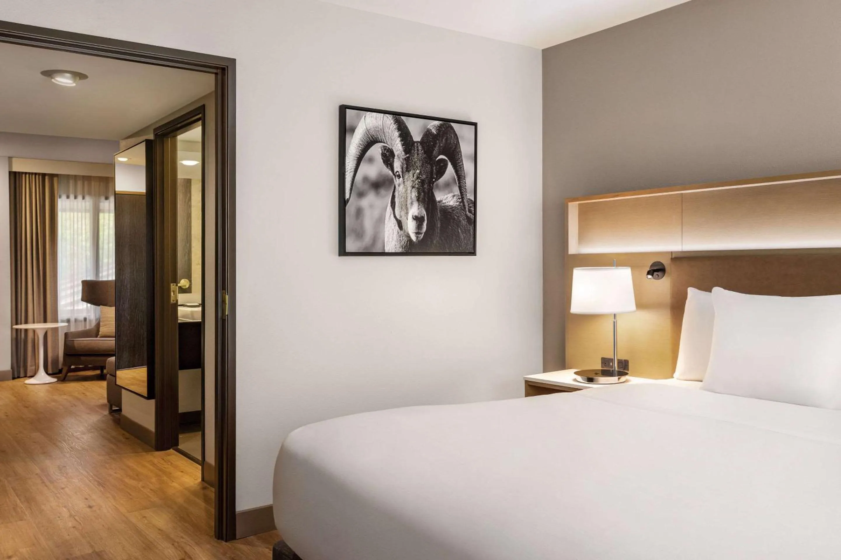 Bedroom, Bed in Radisson Hotel Colorado Springs Airport