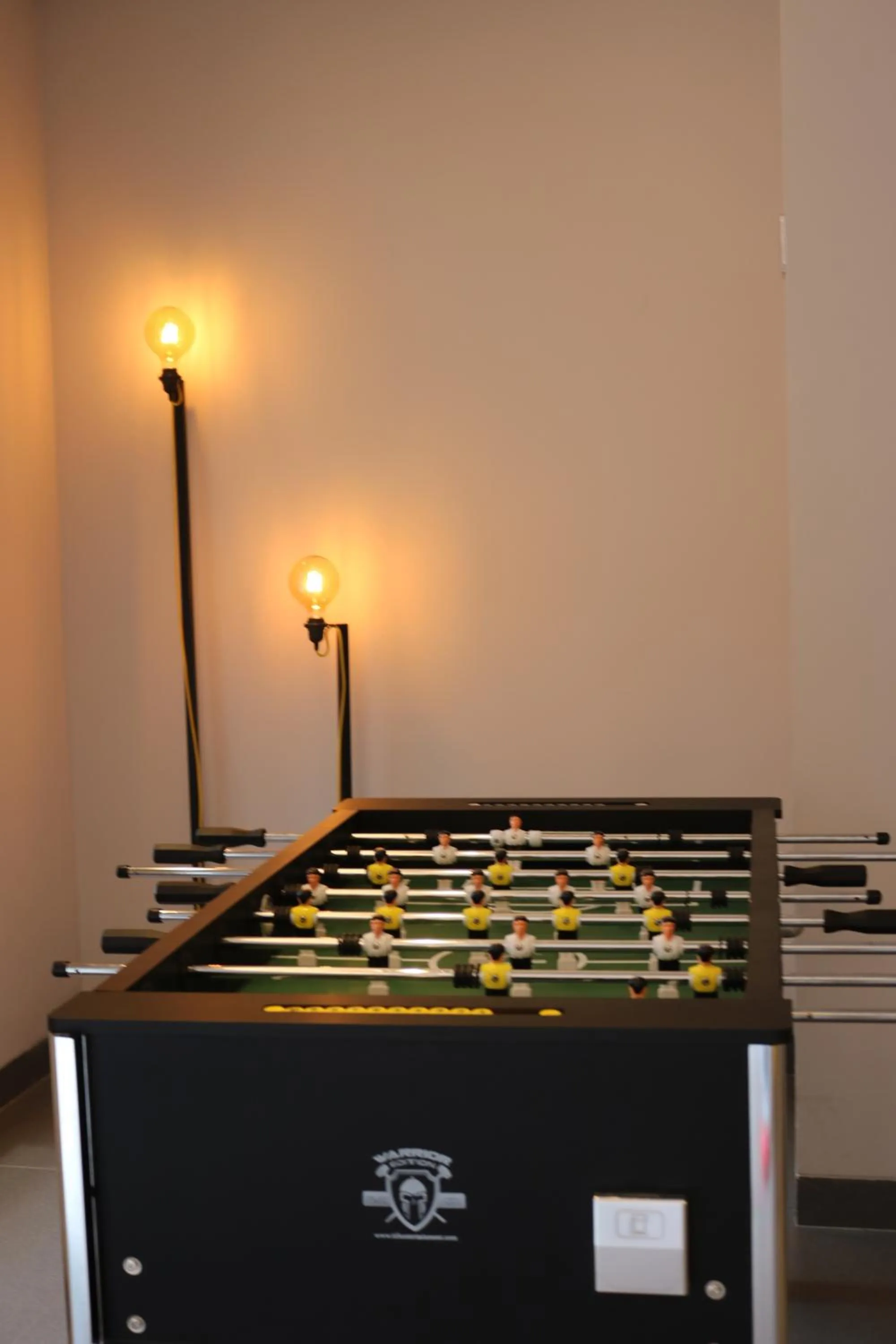 Activities in Ginger Sanand