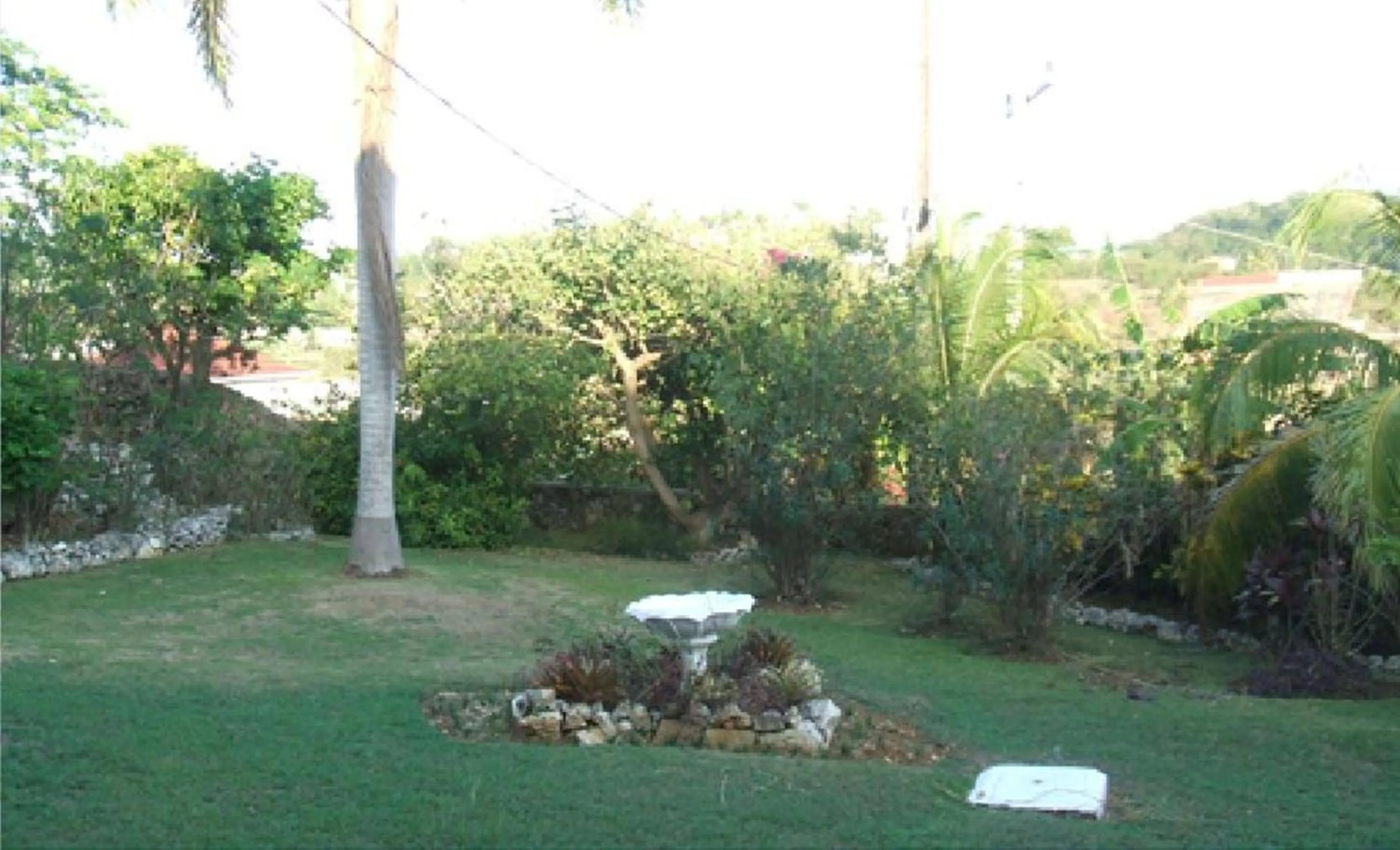 Garden in Verney House Resort