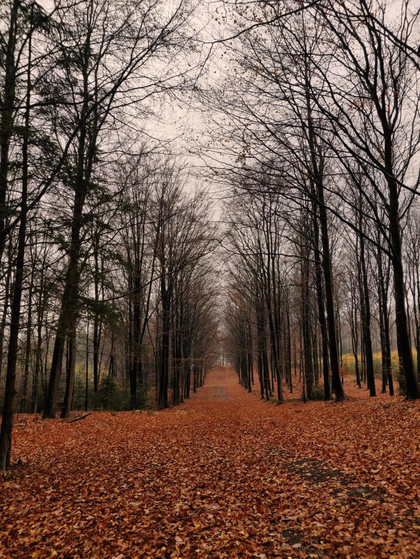 Ferme de la Petite Fagne