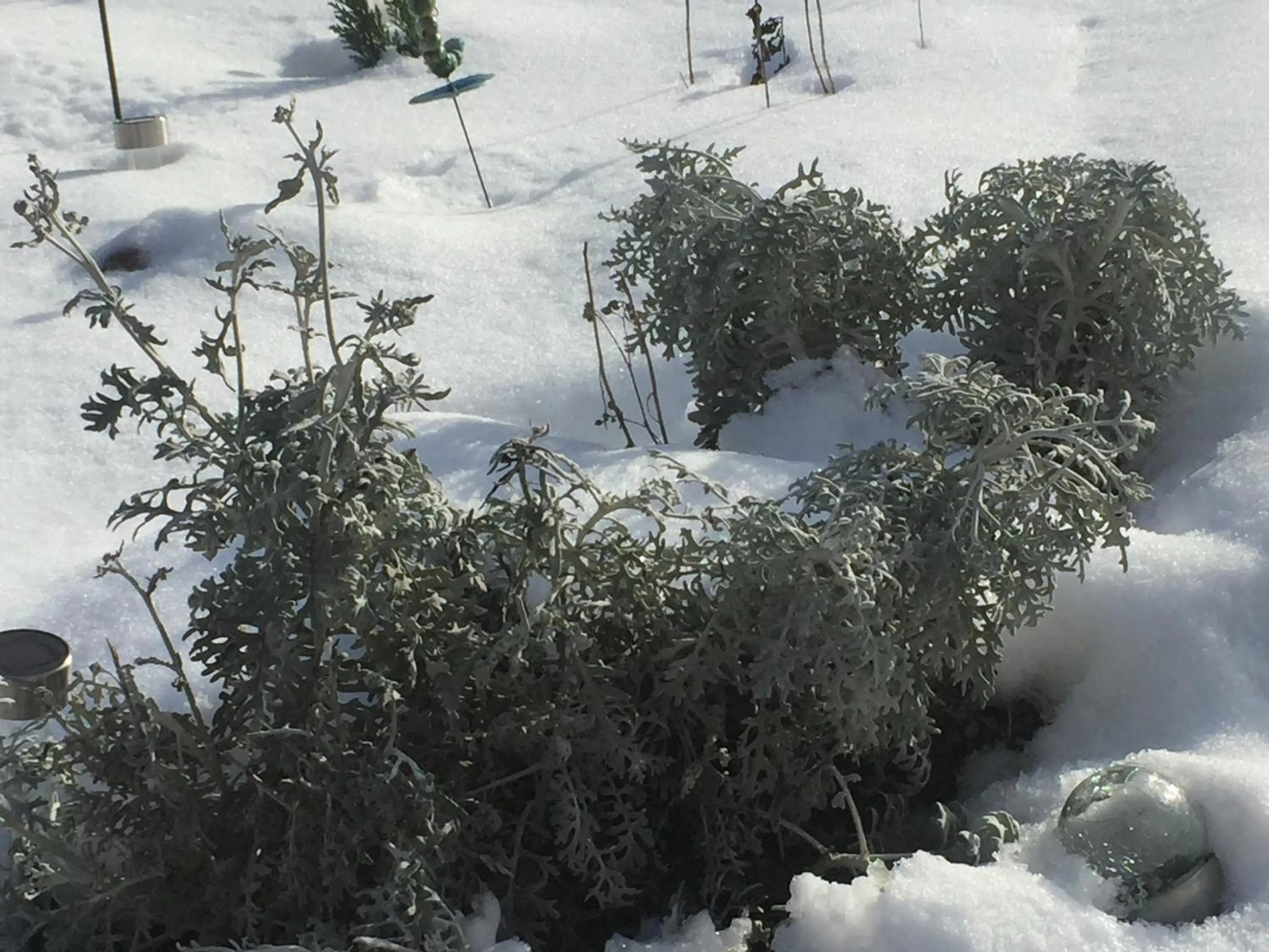 Ferme de la Petite Fagne