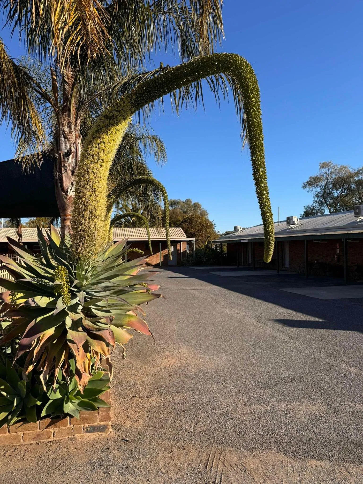 Property building in Tooleybuc Motel