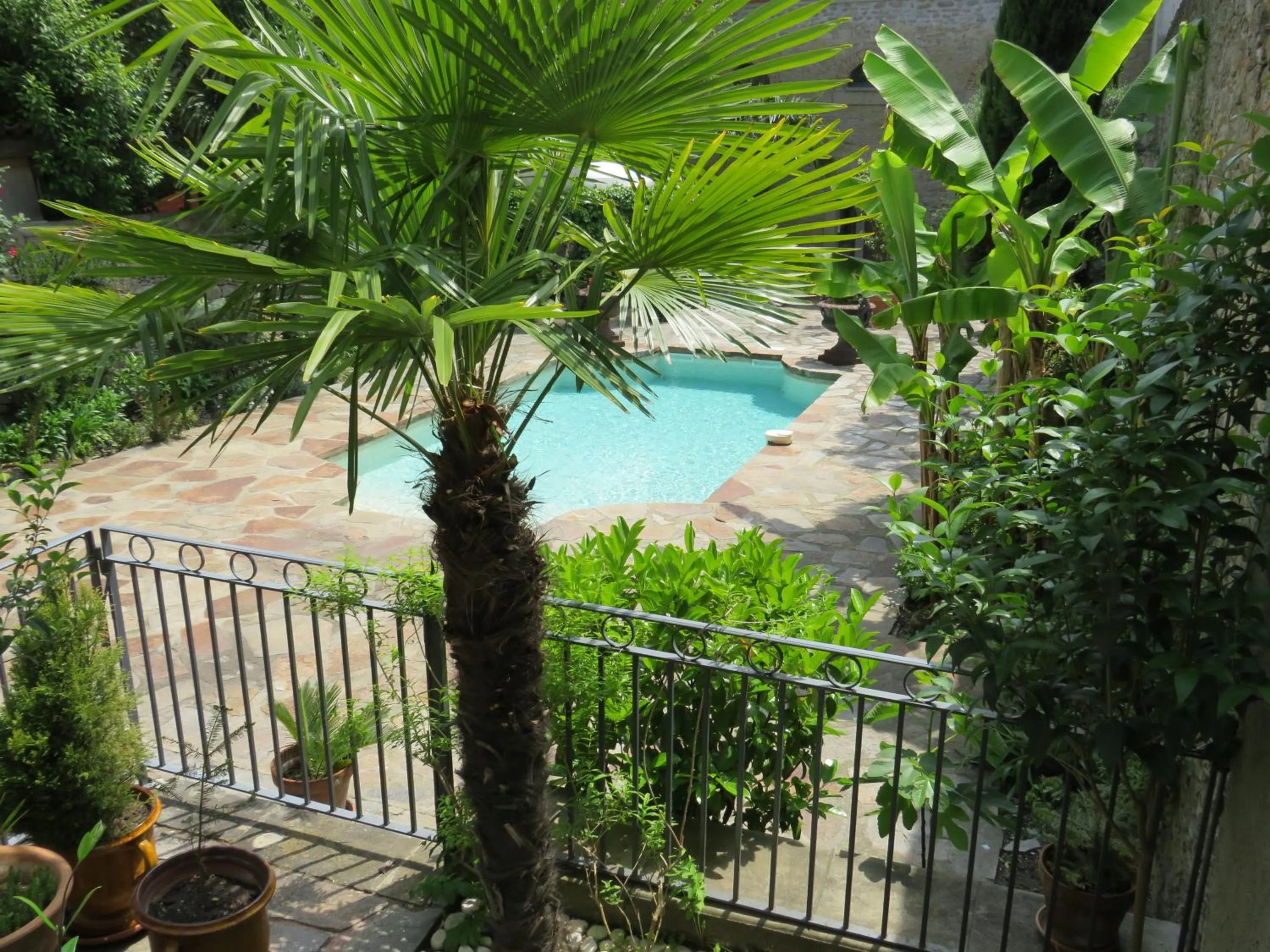 Balcony/Terrace in 45BB Apartment